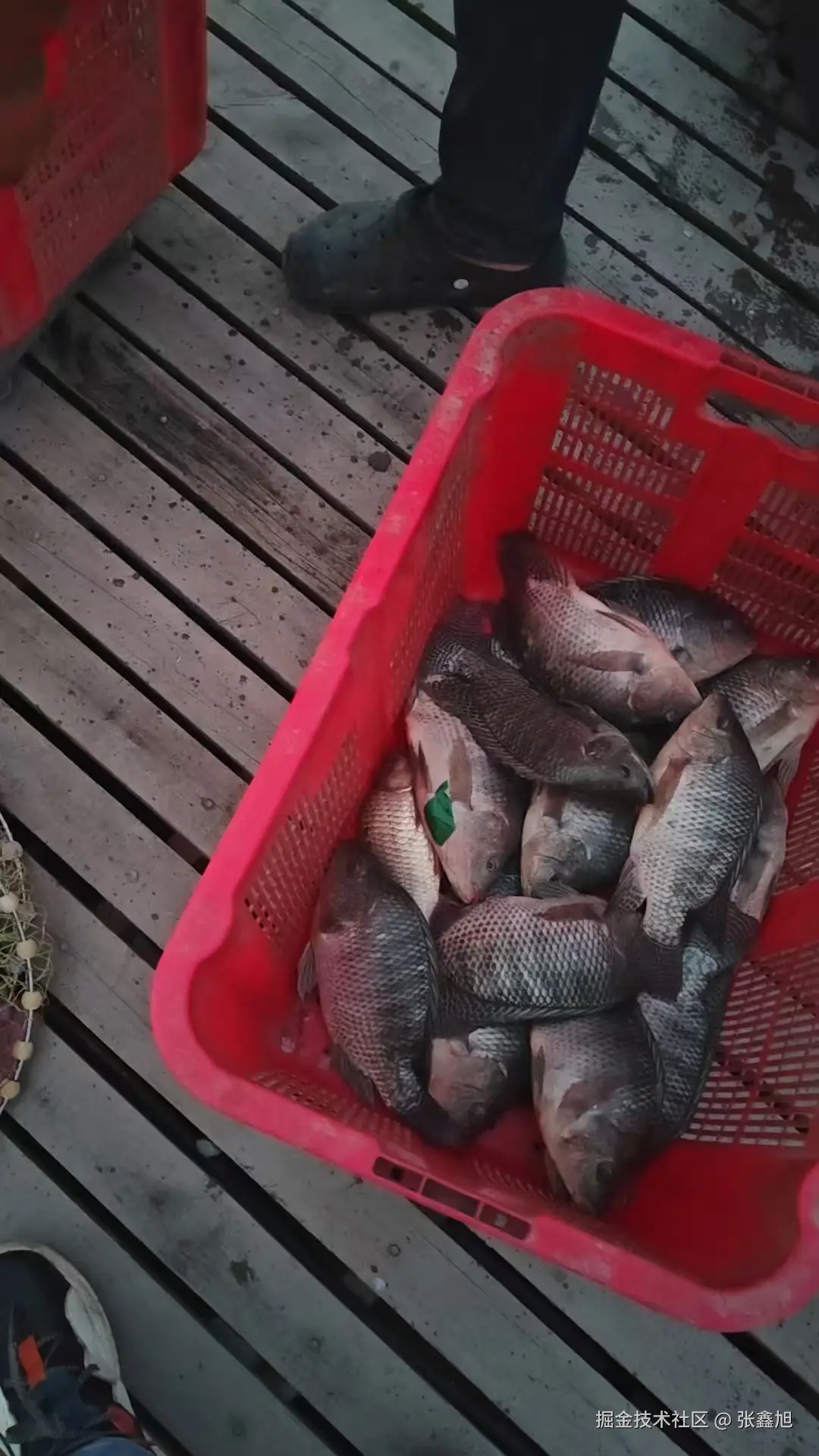 张鑫旭于2025-05-29 15:07发布的图片