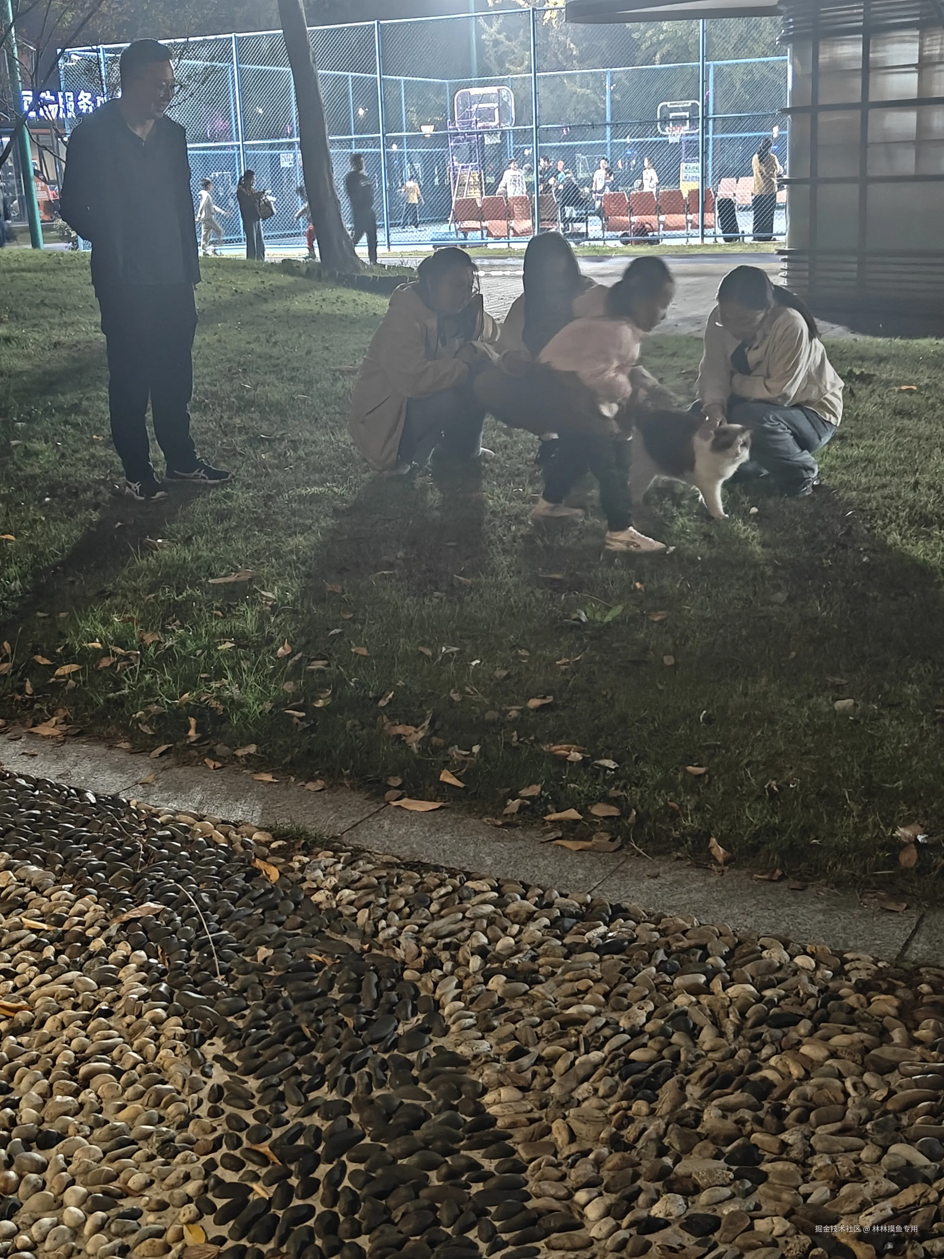 林林摸鱼专用于2024-12-13 17:00发布的图片