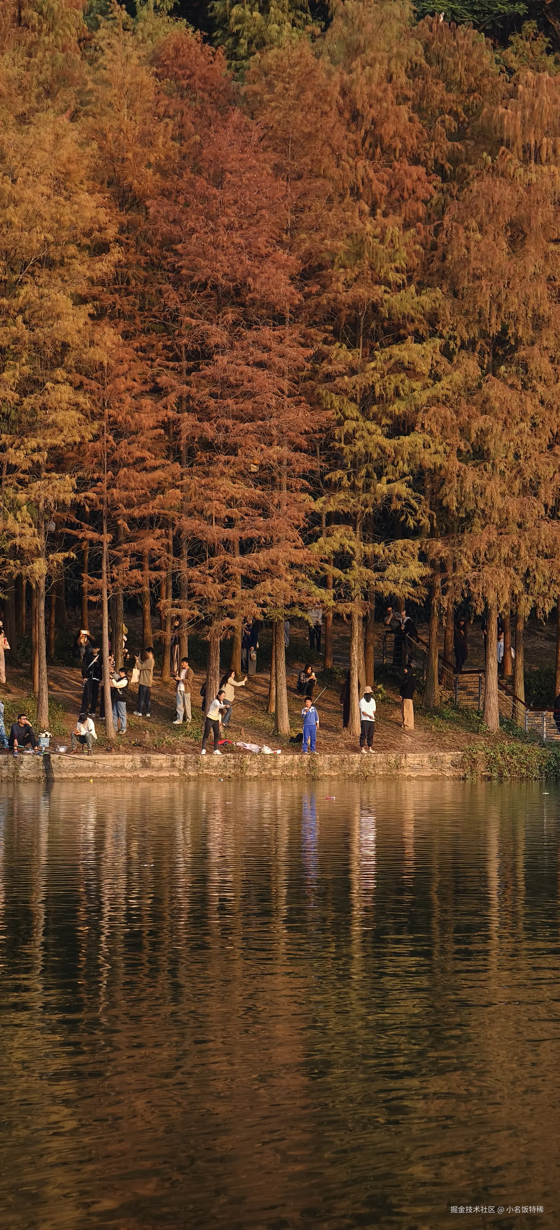 小名饭特稀于2025-01-20 14:49发布的图片