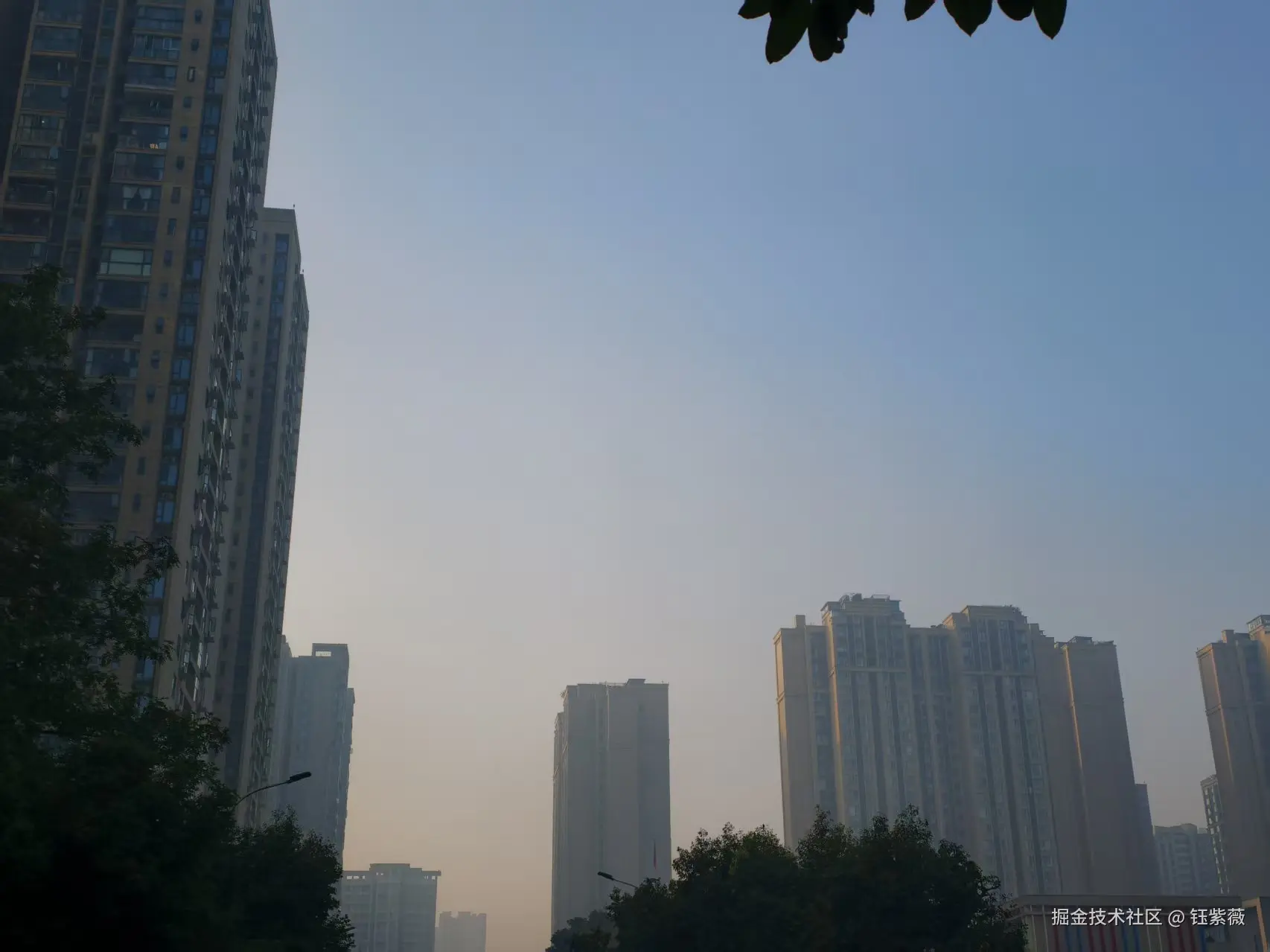 钰紫薇于2025-11-27 09:38发布的图片