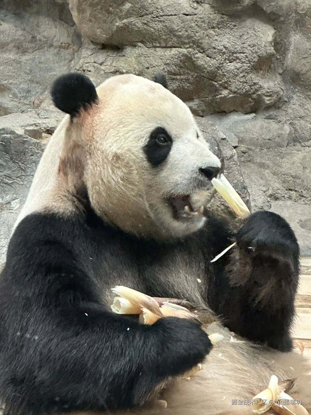 qq墨璃玥于2024-10-25 15:19发布的图片