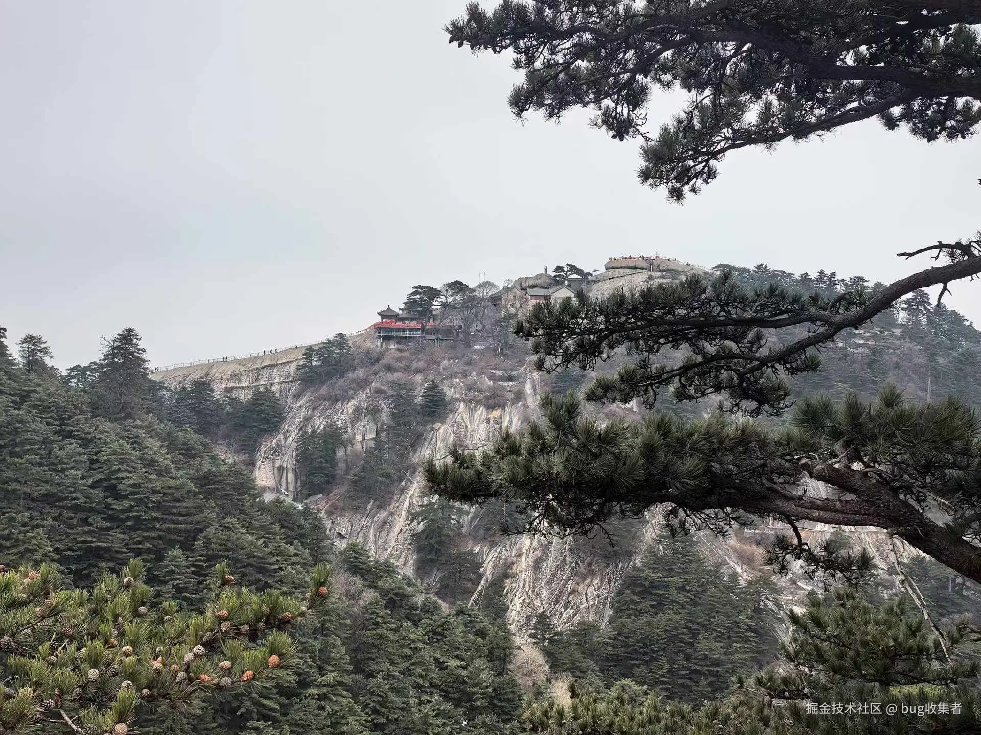 bug收集者于2026-03-09 08:27发布的图片