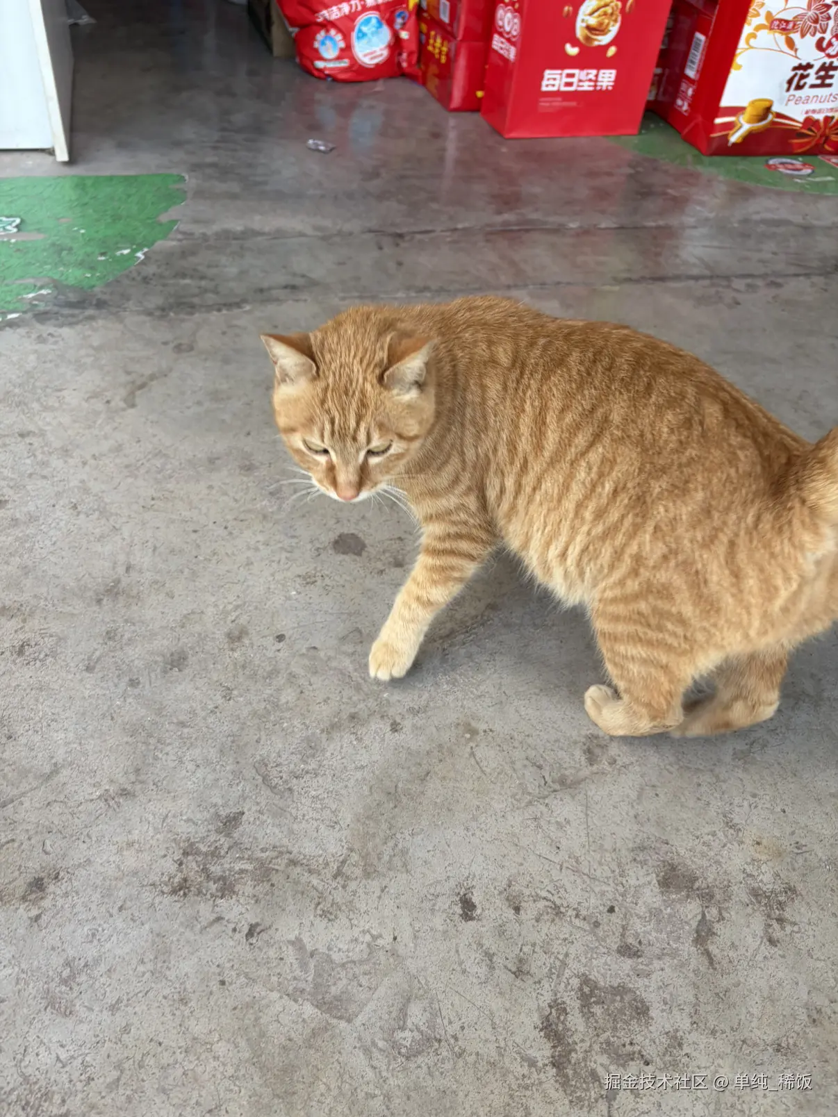 单纯_稀饭于2026-02-26 12:00发布的图片