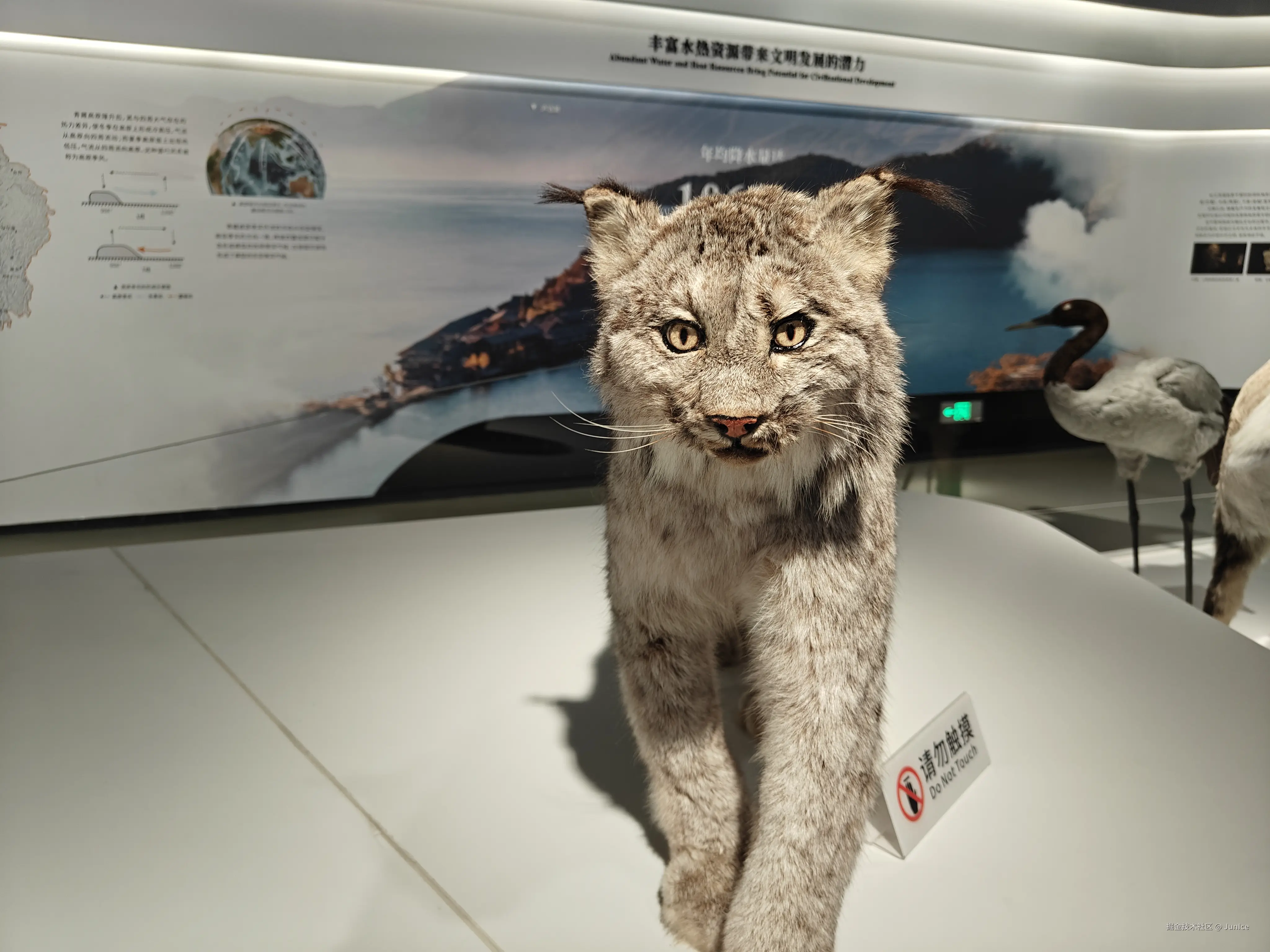 JunIce于2024-09-19 08:19发布的图片