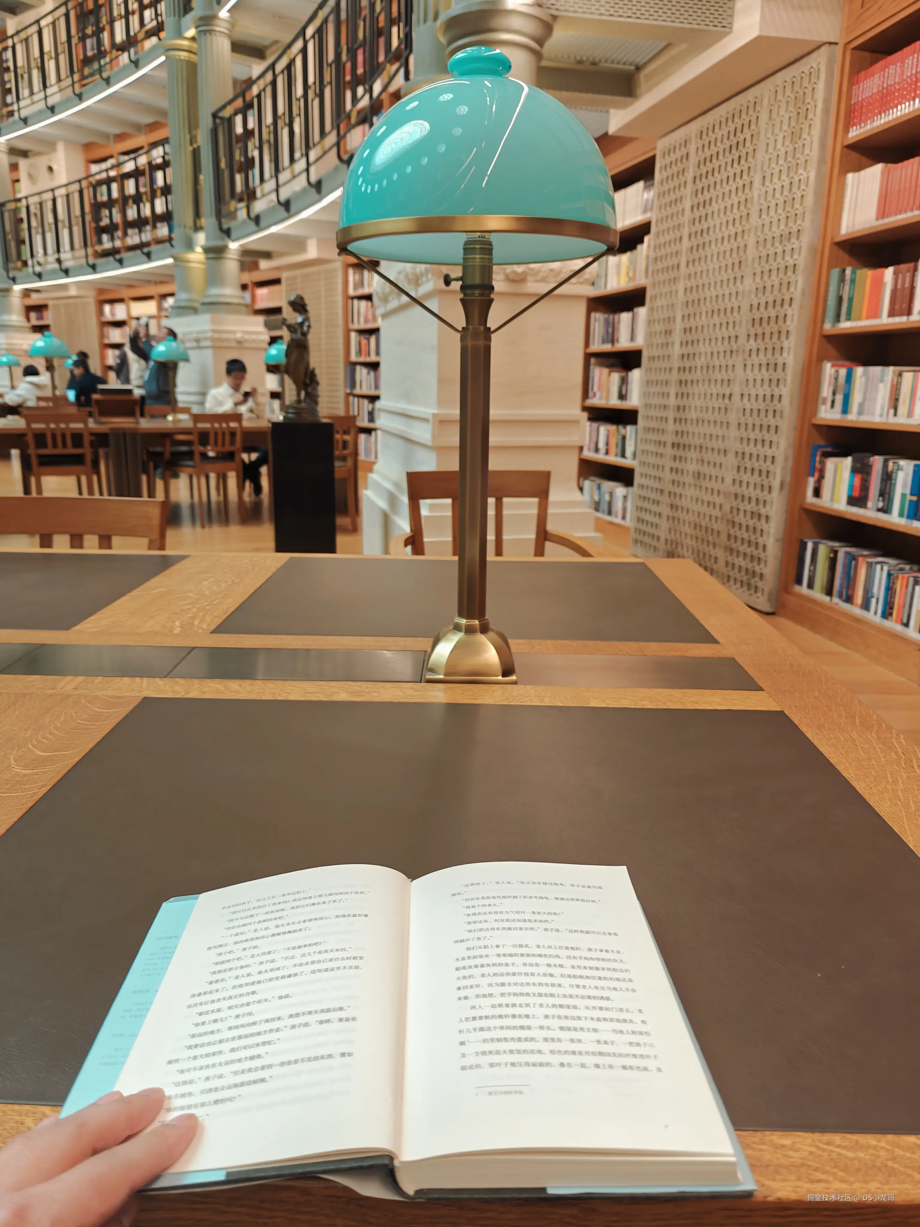 DS小龙哥于2024-12-17 02:01发布的图片