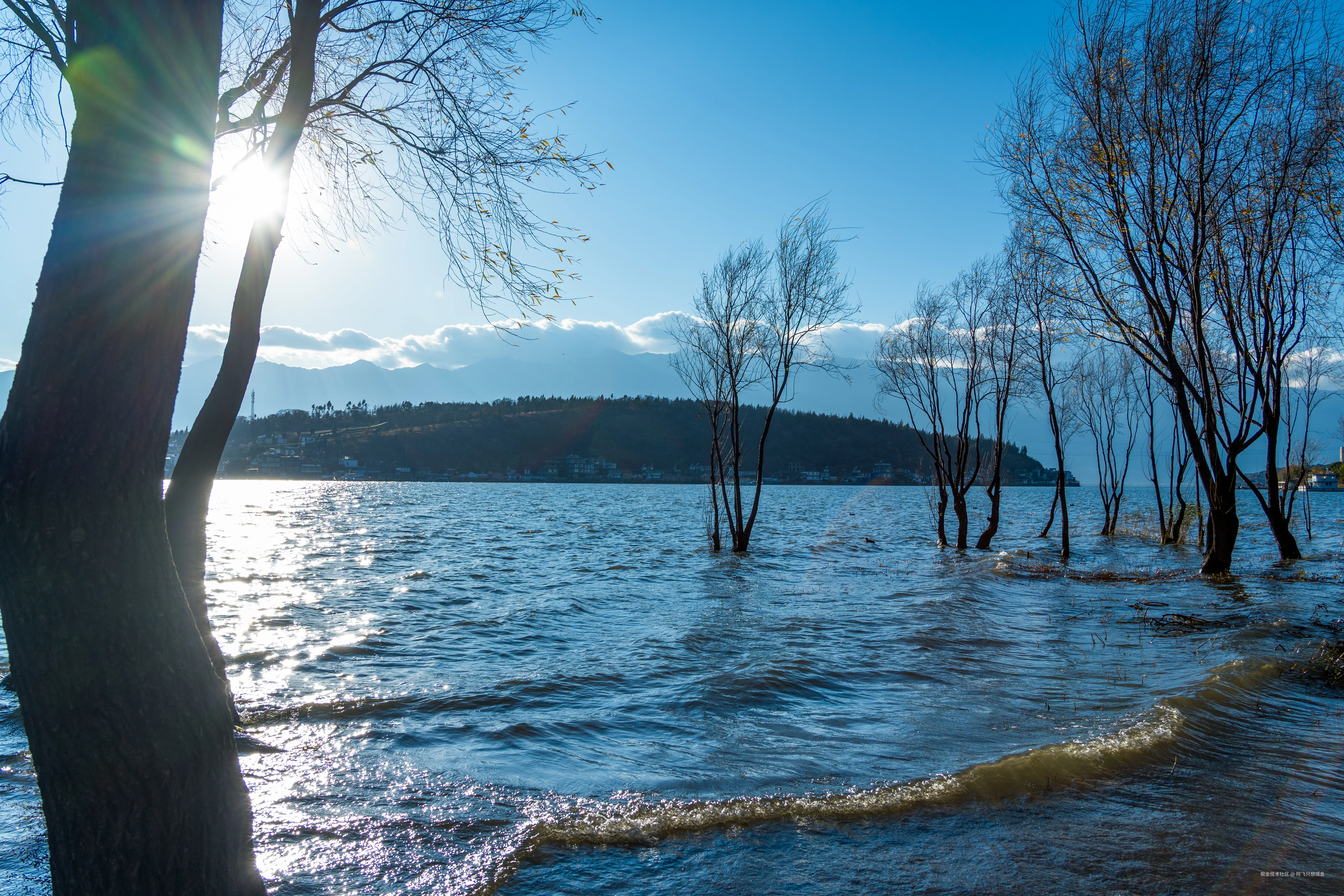 阿飞只想摸鱼于2026-02-11 14:43发布的图片