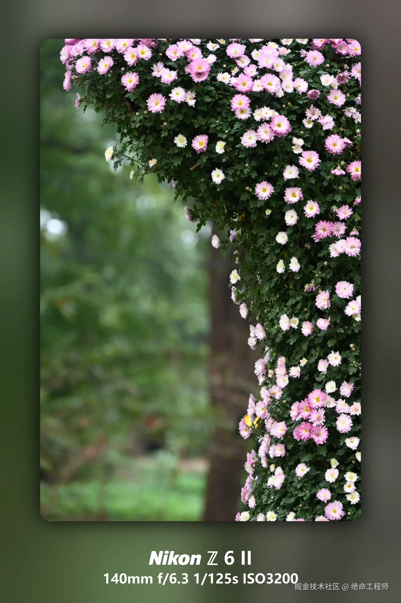 绝命工程师于2025-11-11 09:28发布的图片