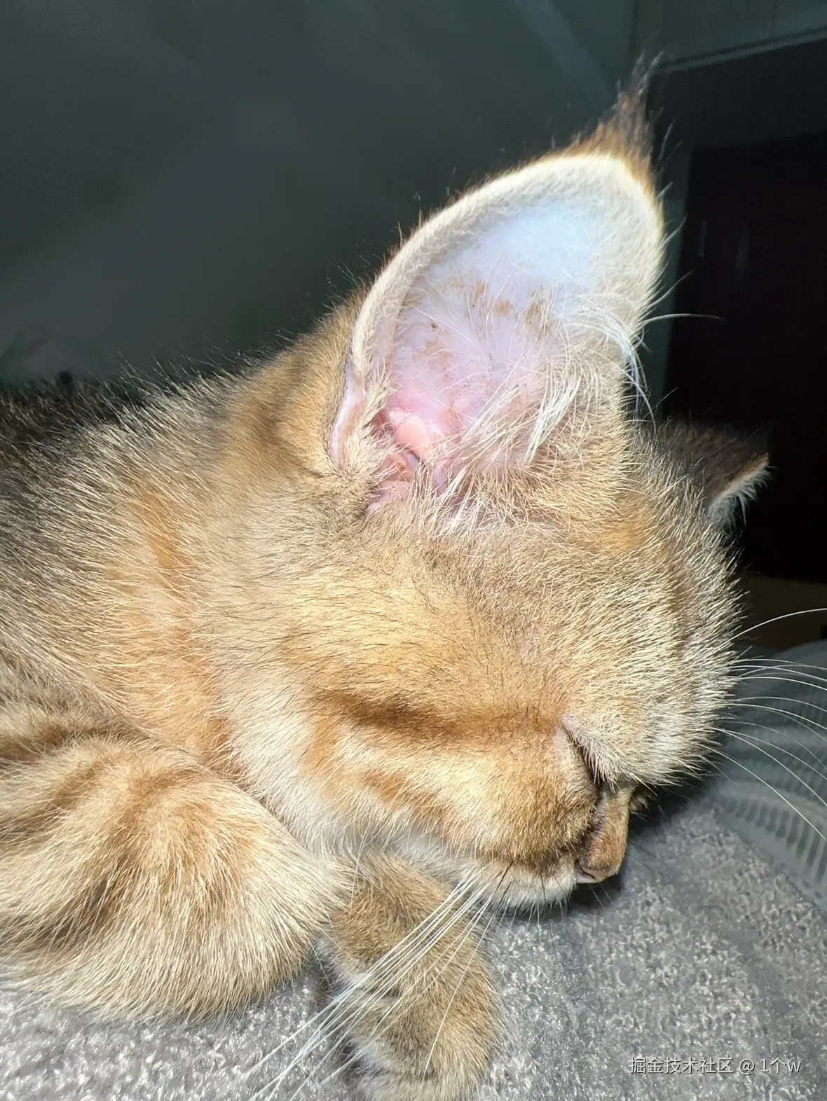 1个w于2024-09-20 15:30发布的图片