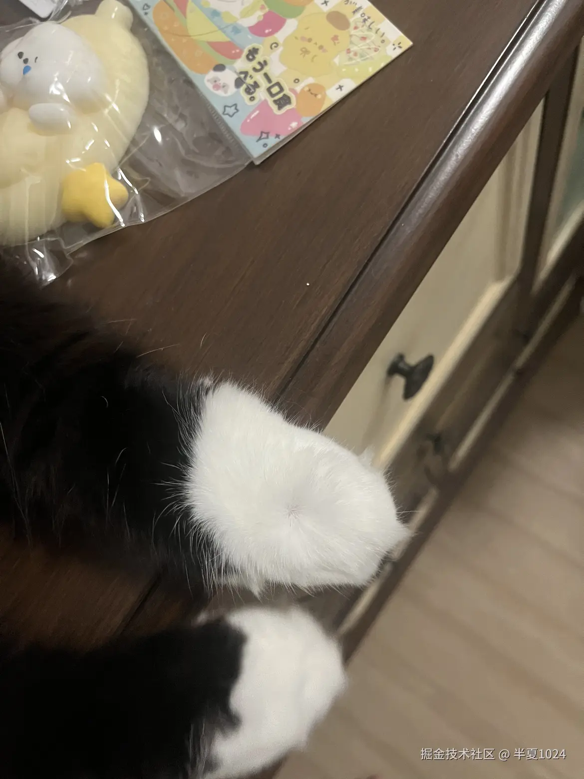 半夏1024于2024-11-27 09:22发布的图片