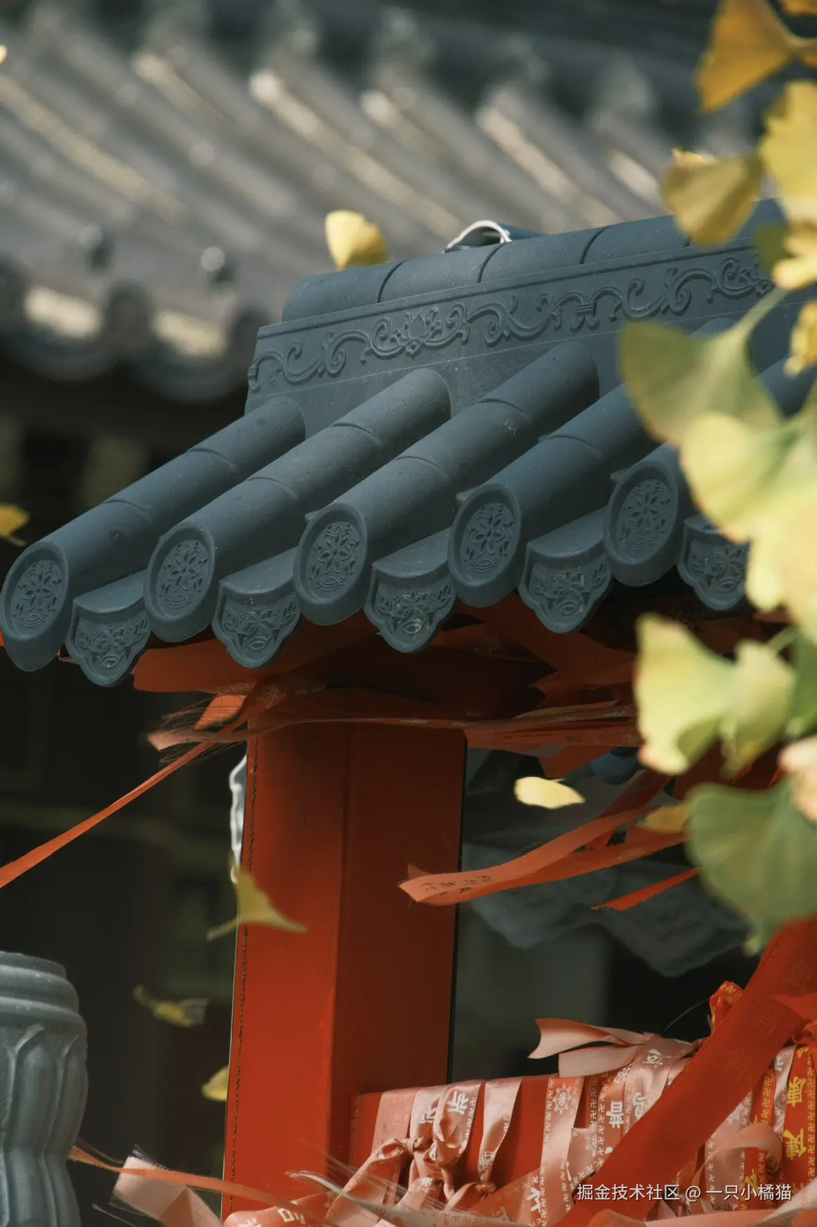 一只小橘猫于2025-11-03 15:15发布的图片