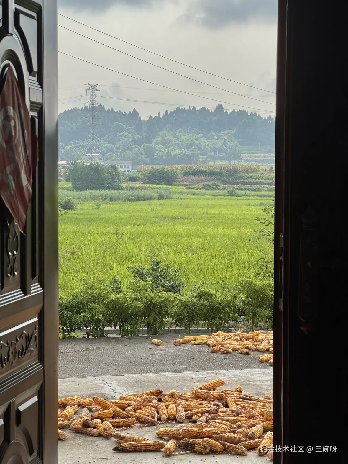 三碗呀于2025-09-10 09:34发布的图片