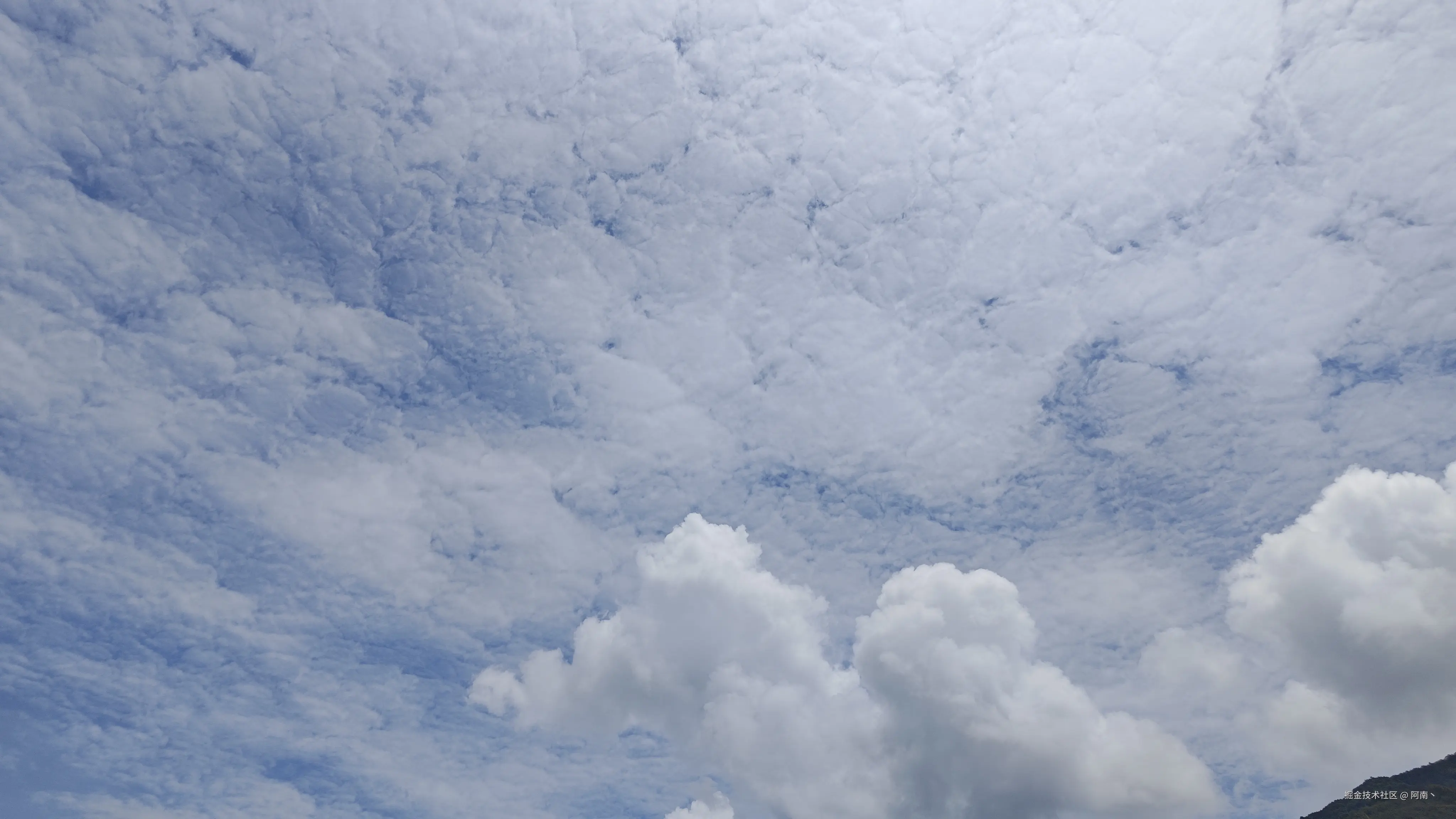 阿南丶于2024-08-18 17:13发布的图片