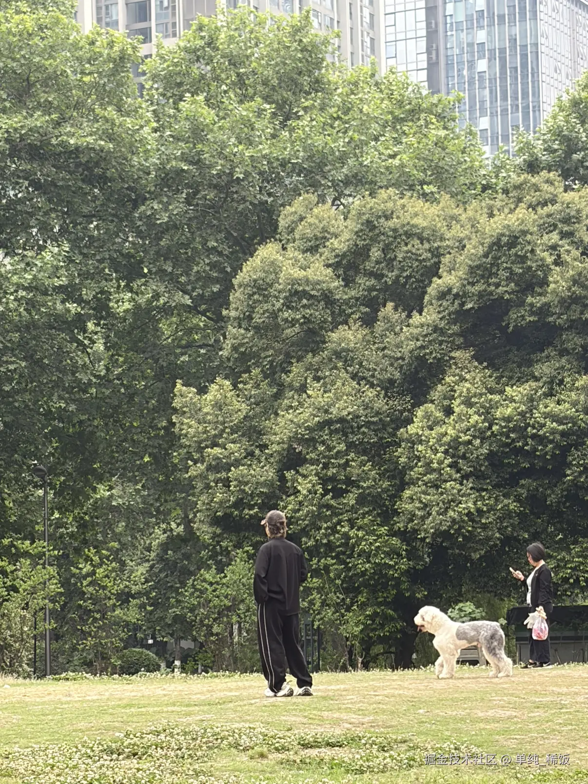 单纯_稀饭于2026-04-30 10:13发布的图片