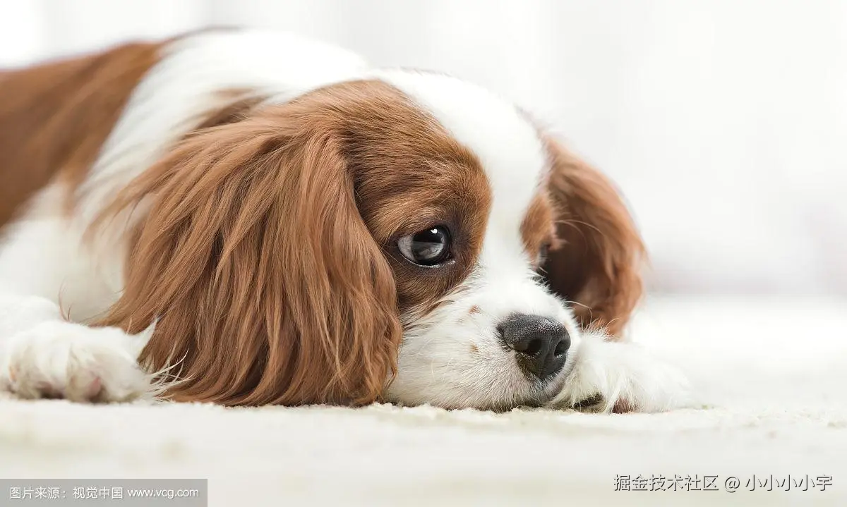 黄轶《Vue.js技术内幕》笔记