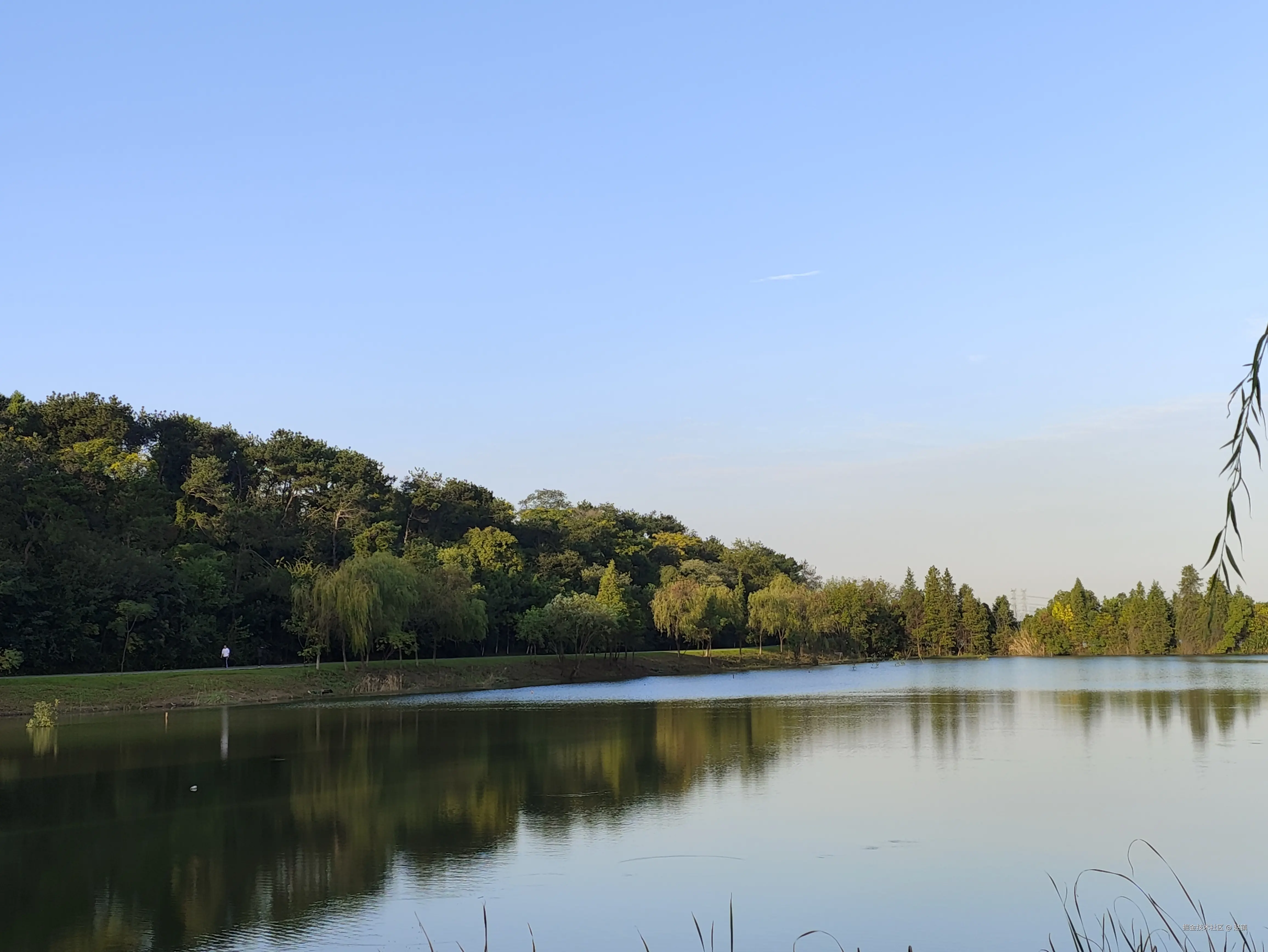 赵镇于2024-07-23 12:21发布的图片