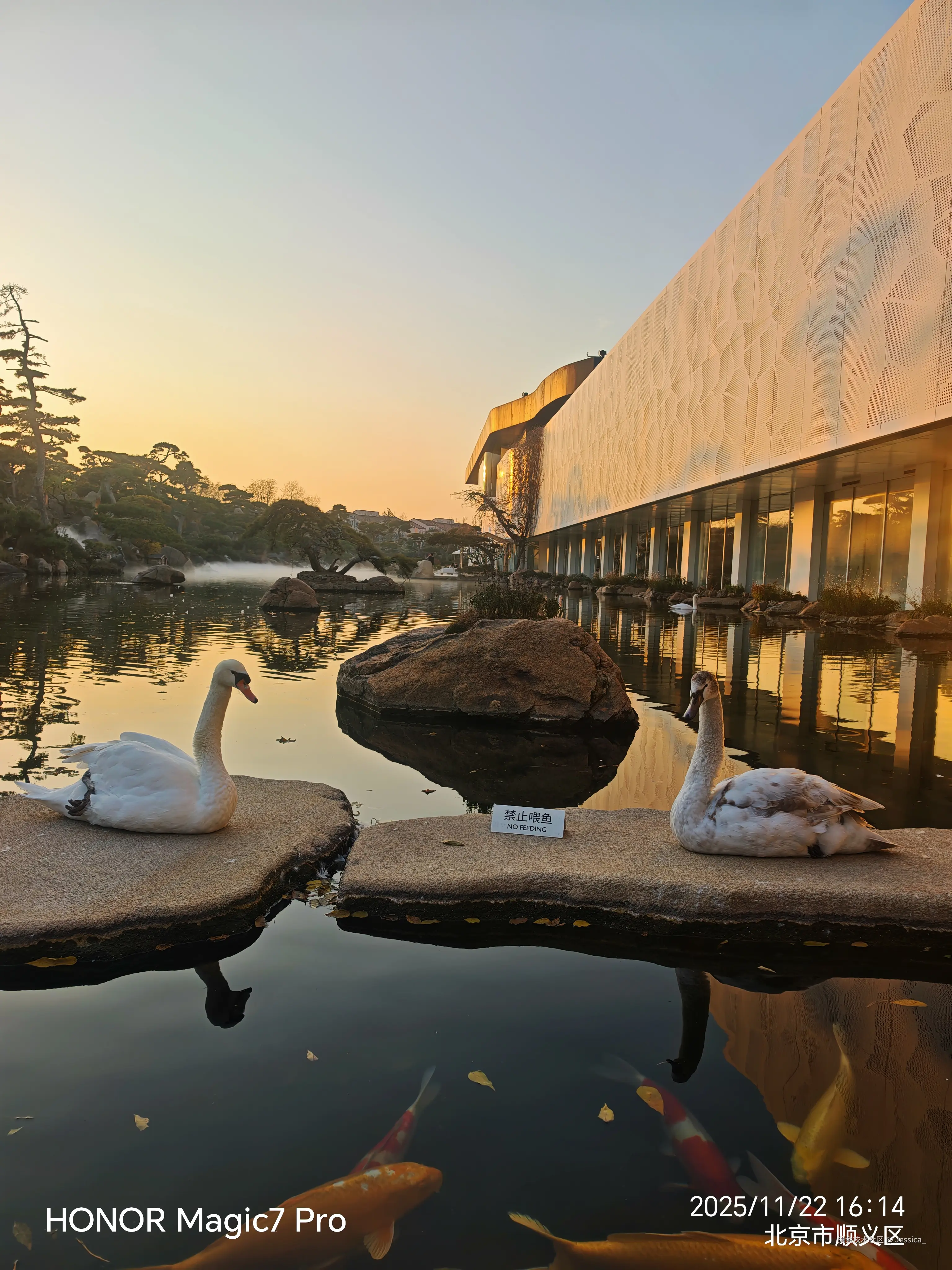 Jessica_于2025-11-23 01:32发布的图片