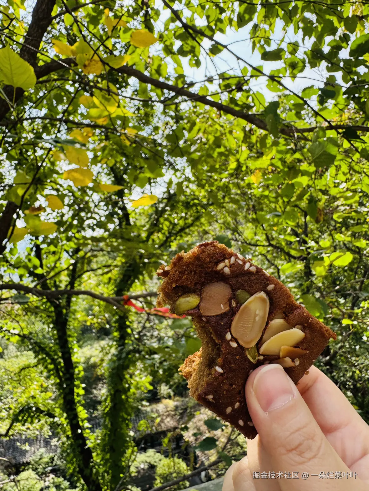 一朵烂菜叶叶于2025-10-20 10:23发布的图片