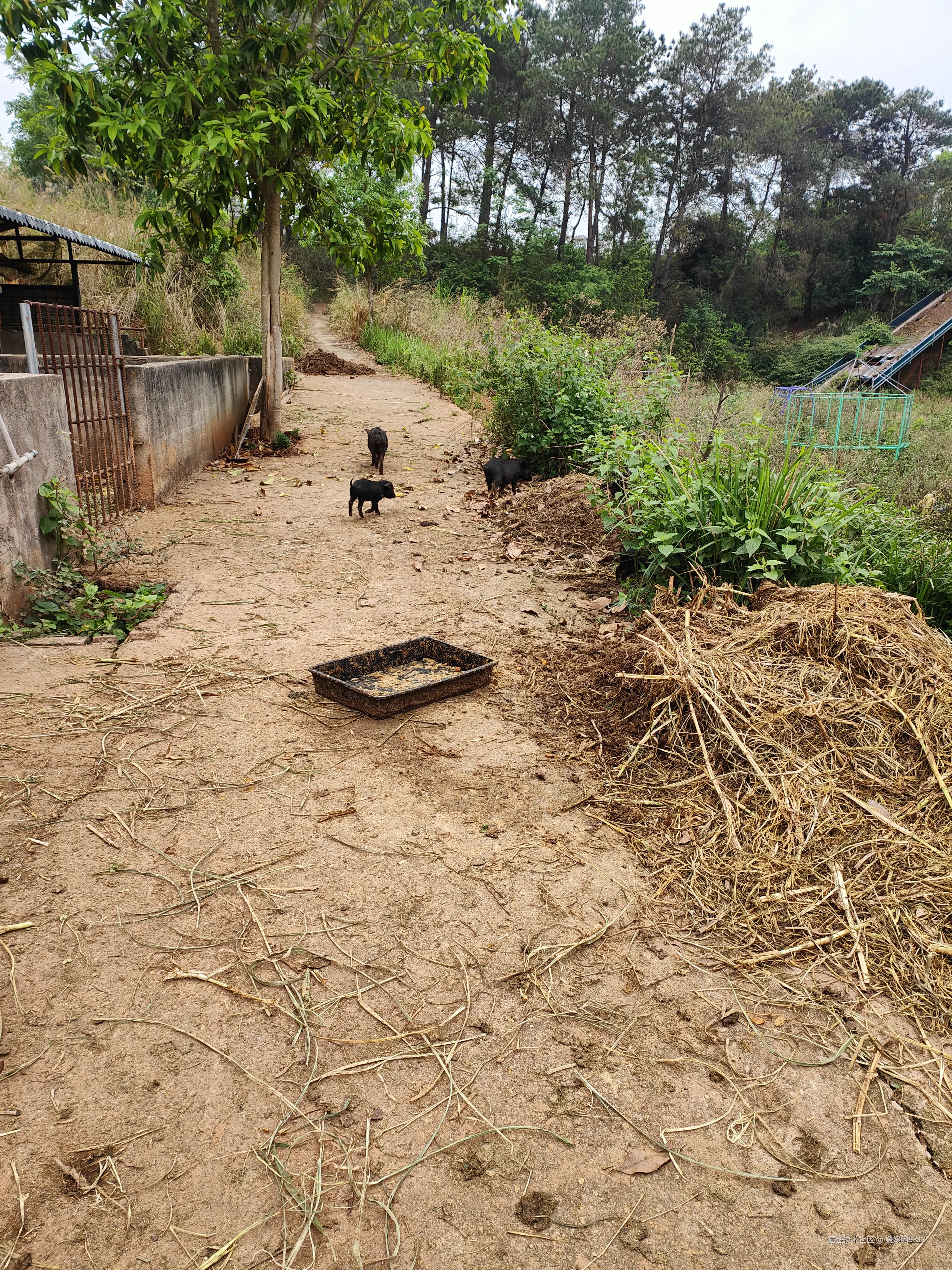 媛媛啊9813于2026-03-28 19:57发布的图片