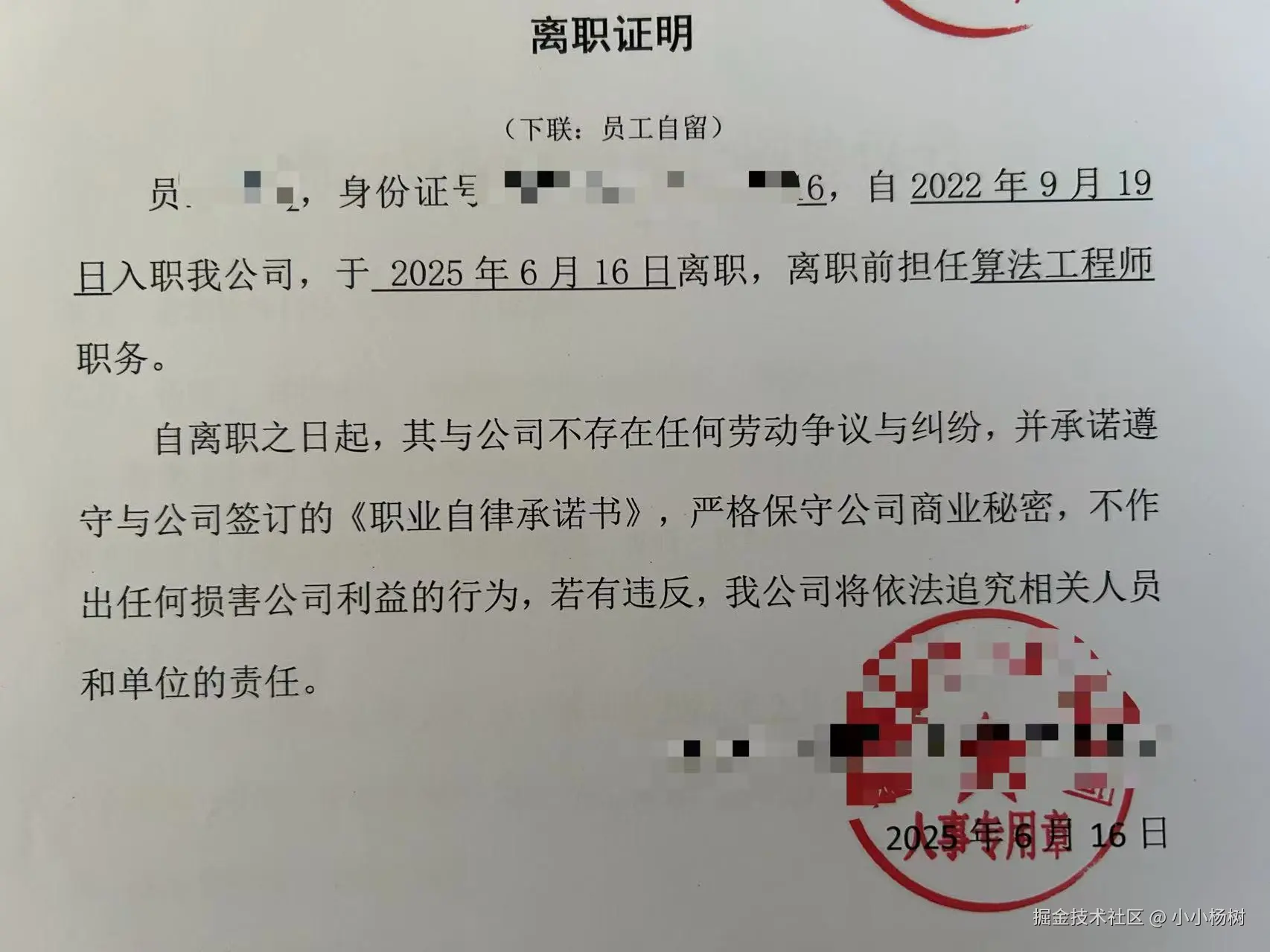 小小杨树于2025-06-10 14:21发布的图片