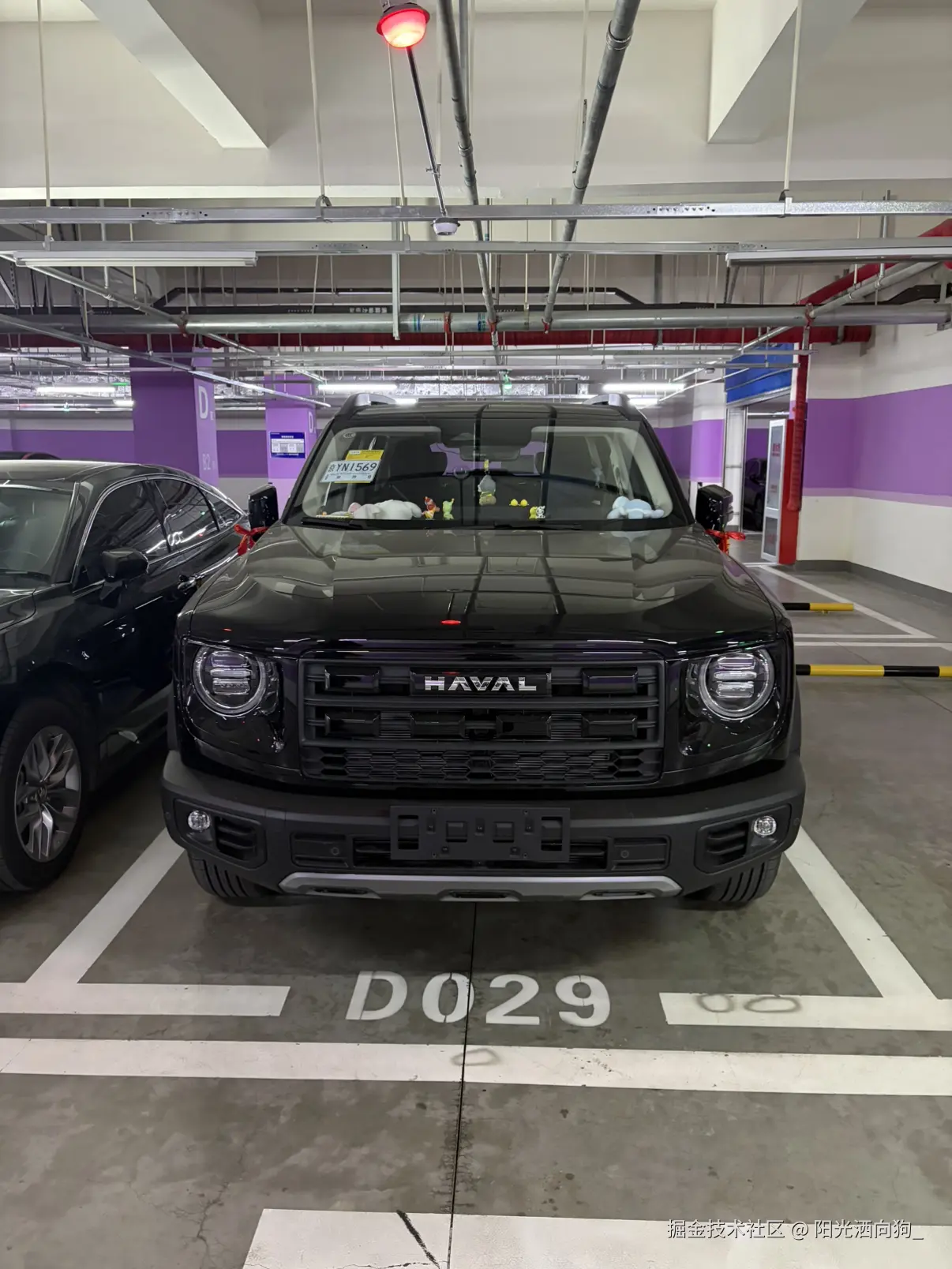 阳光洒向狗_于2026-01-14 10:04发布的图片