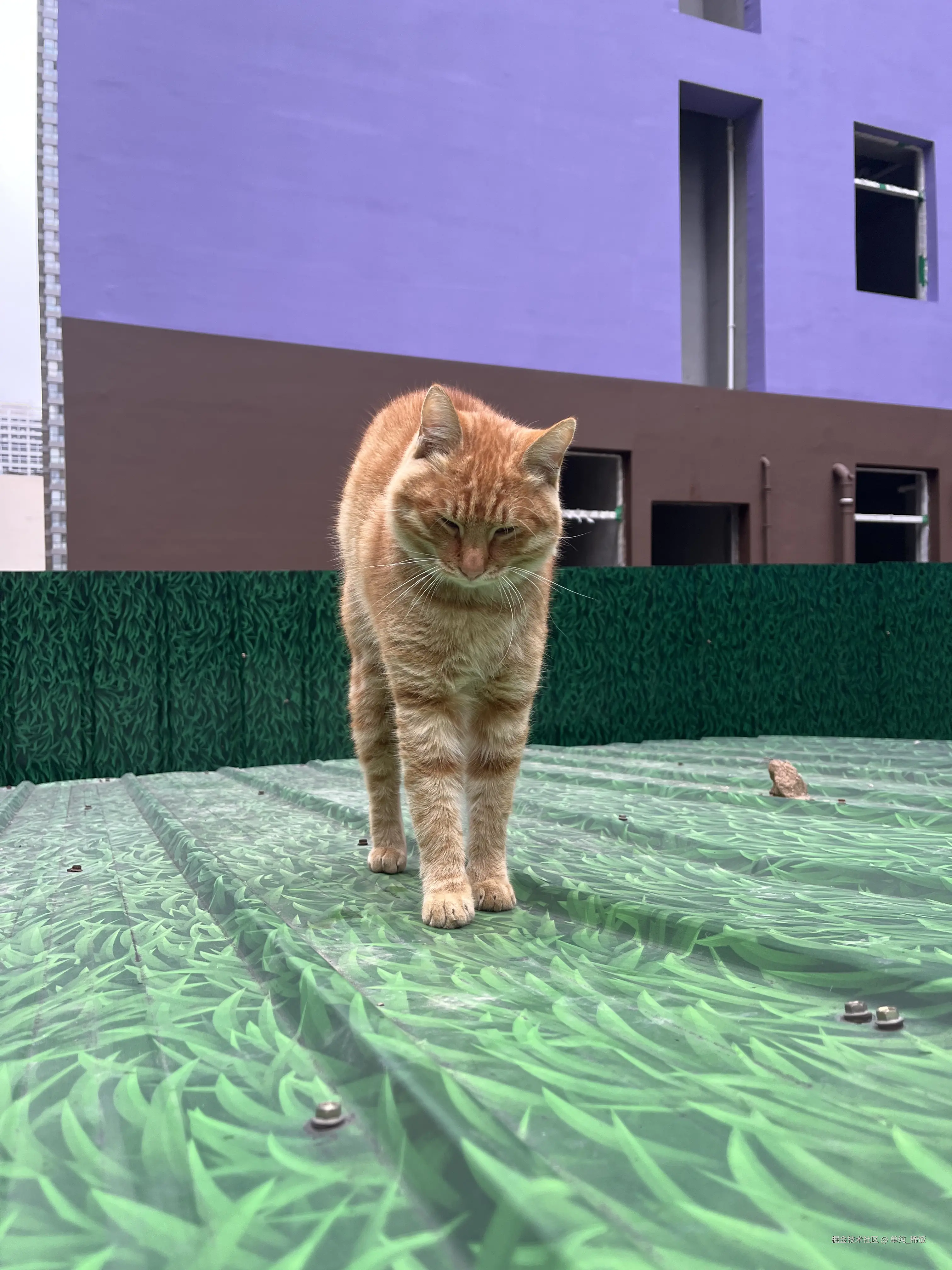 单纯_稀饭于2025-10-11 11:50发布的图片