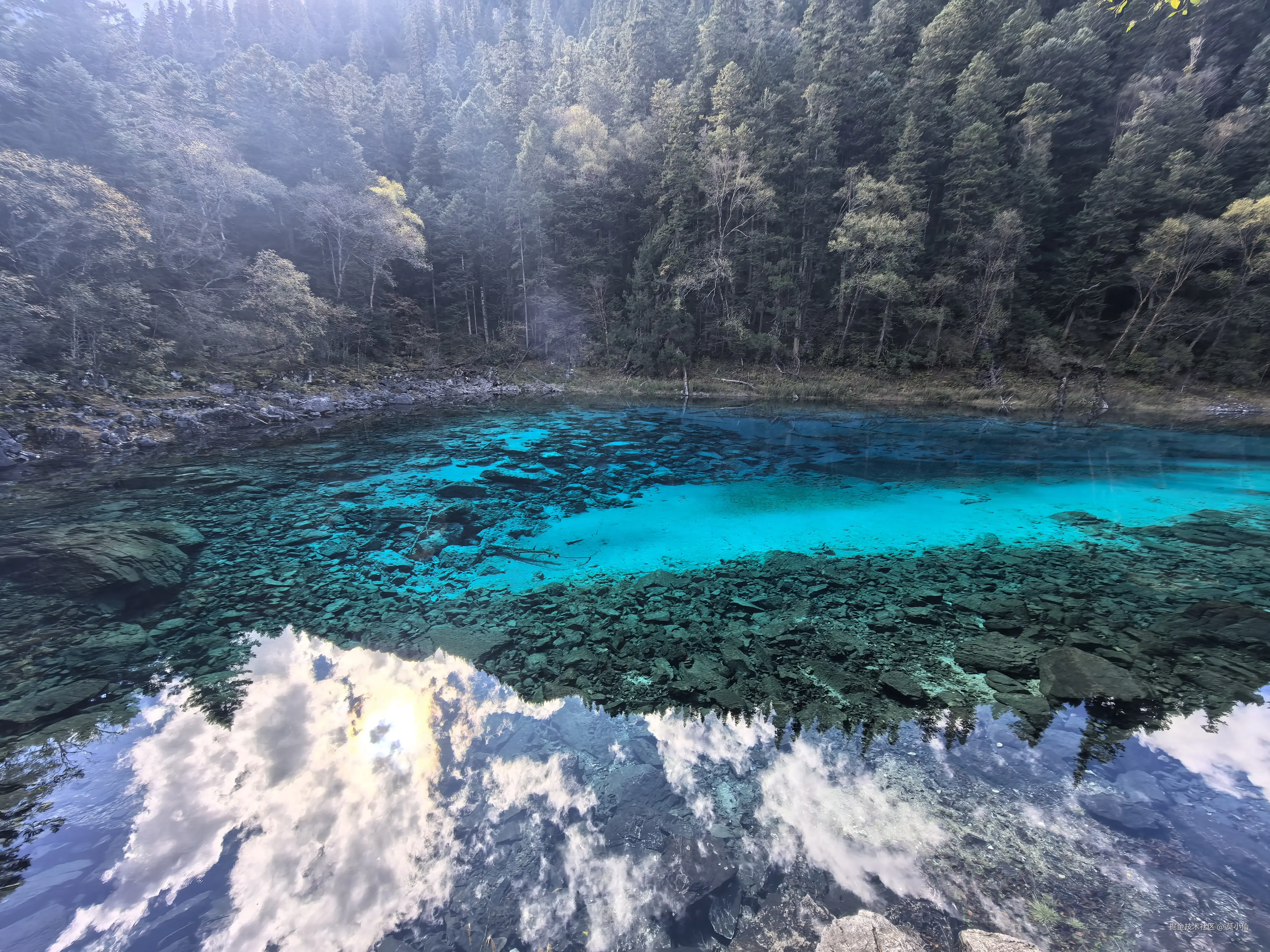 莫小仙于2025-10-09 02:54发布的图片