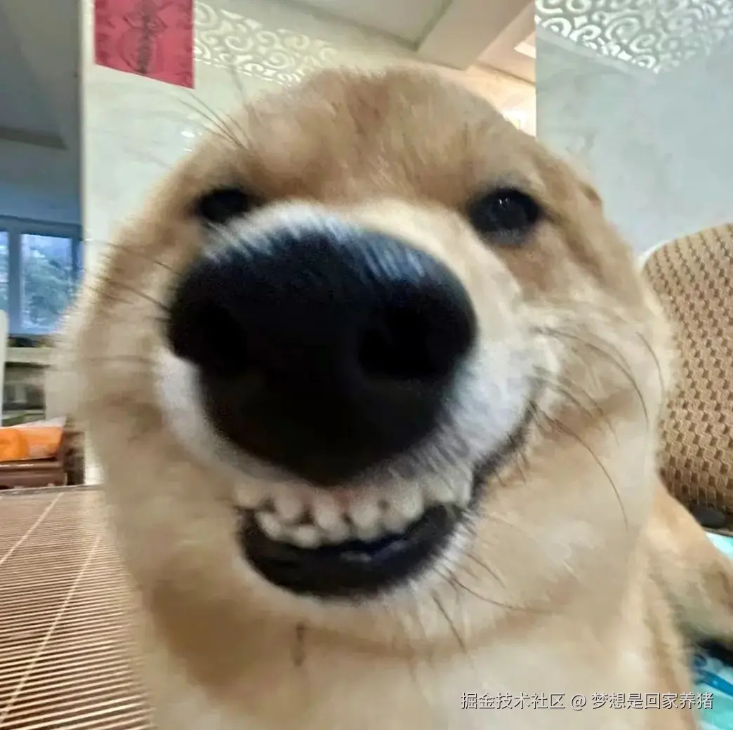 梦想是回家养猪于2025-03-04 11:20发布的图片