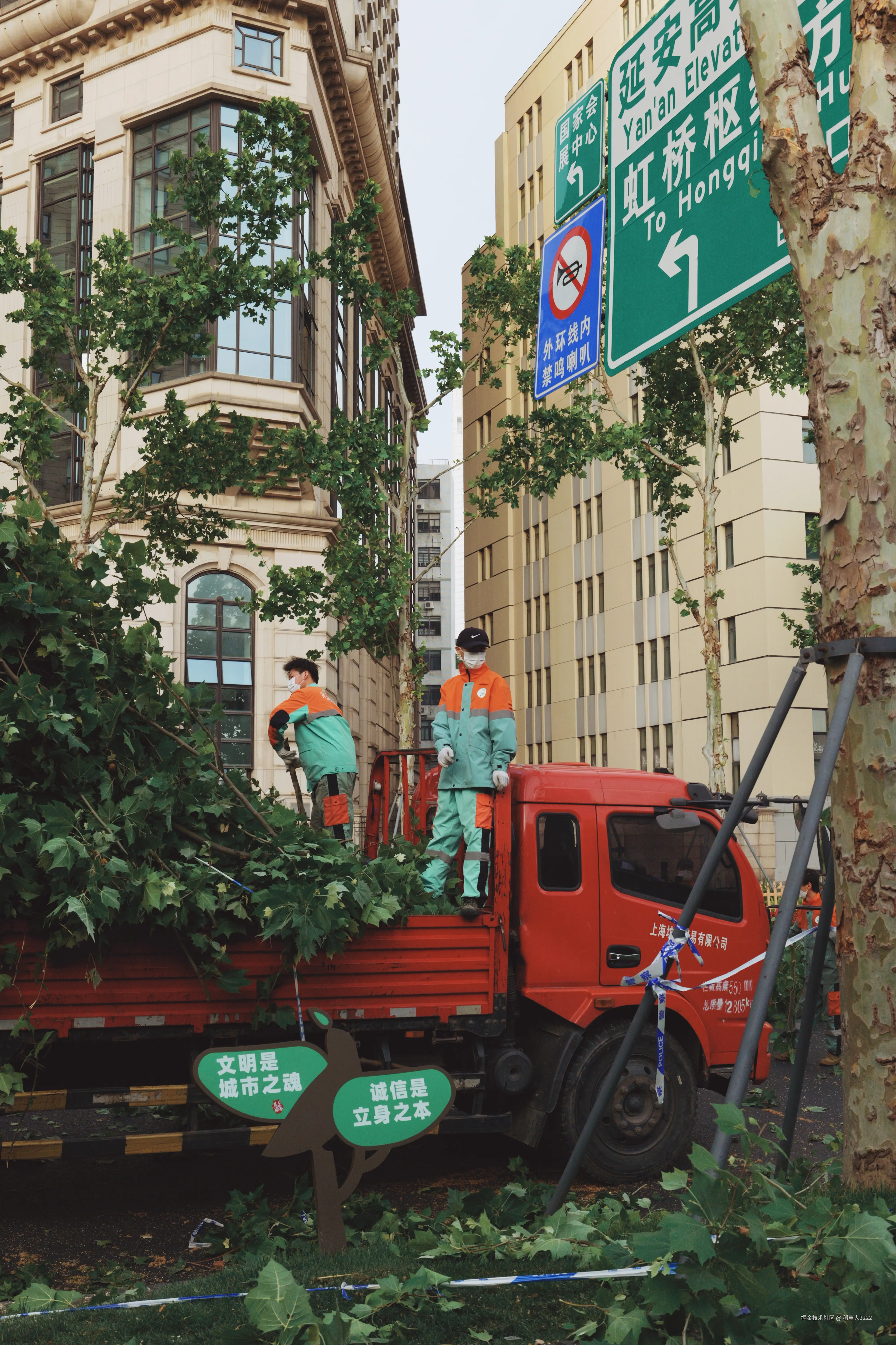 稻草人2222于2025-05-12 10:42发布的图片