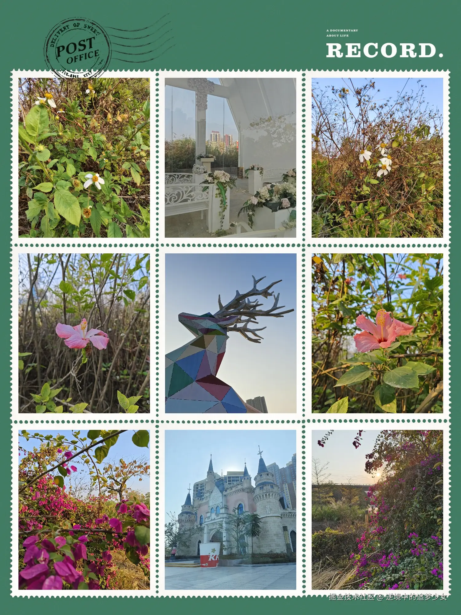 逆境中的追梦少女于2025-01-20 10:57发布的图片