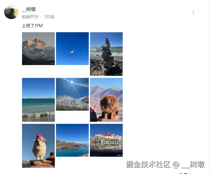 __树墩于2025-02-27 13:14发布的图片