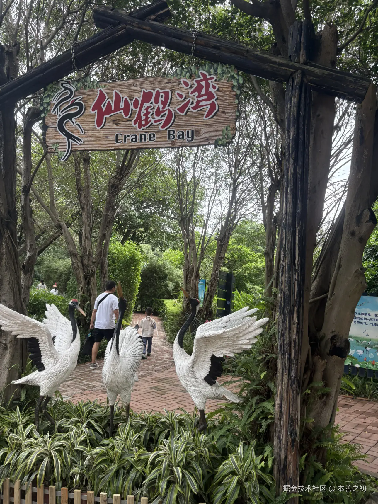 本善之初于2025-05-06 15:14发布的图片