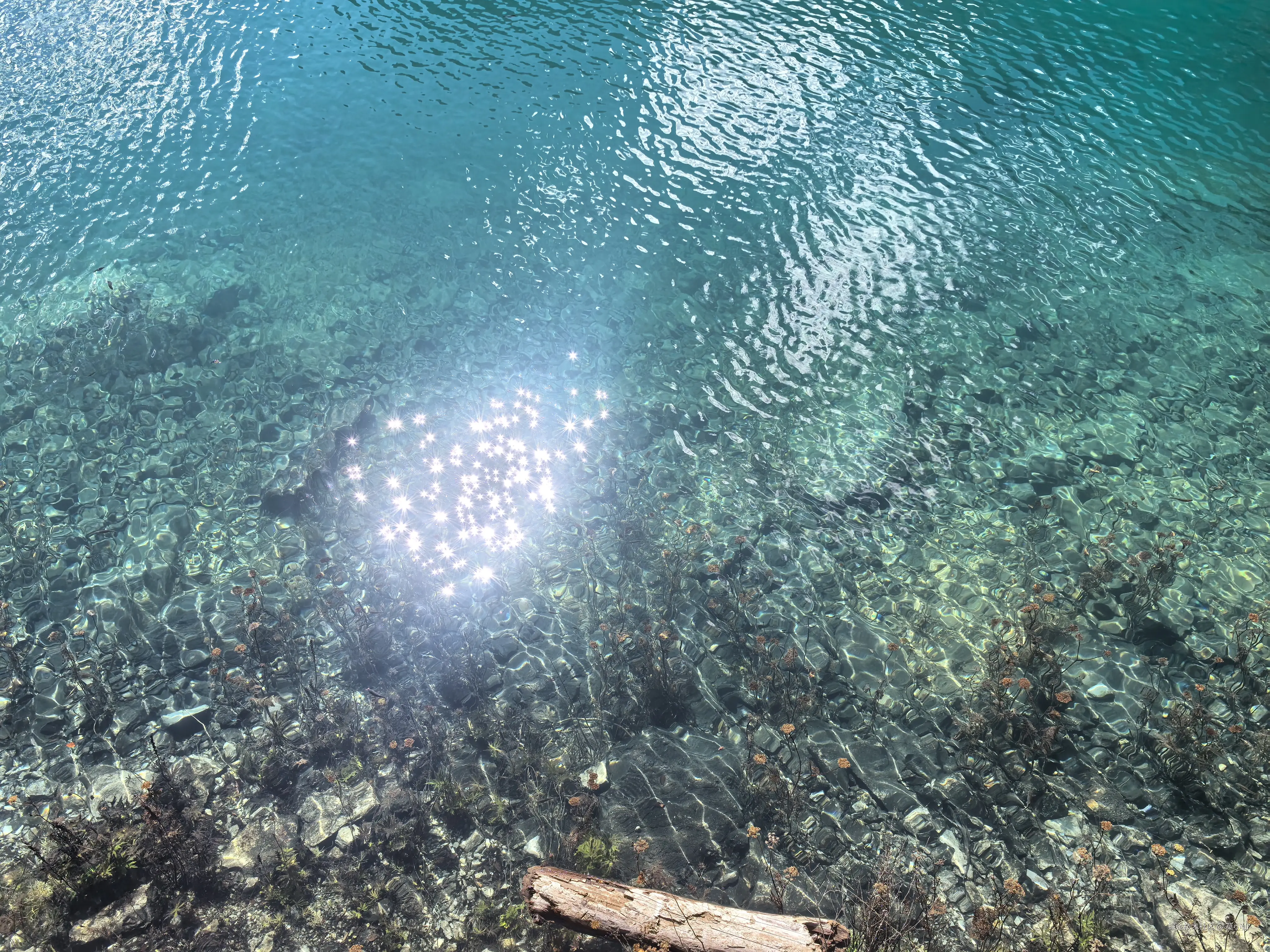 莫小仙于2025-10-09 10:54发布的图片