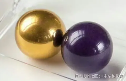 中华种花家于2025-02-11 11:08发布的图片