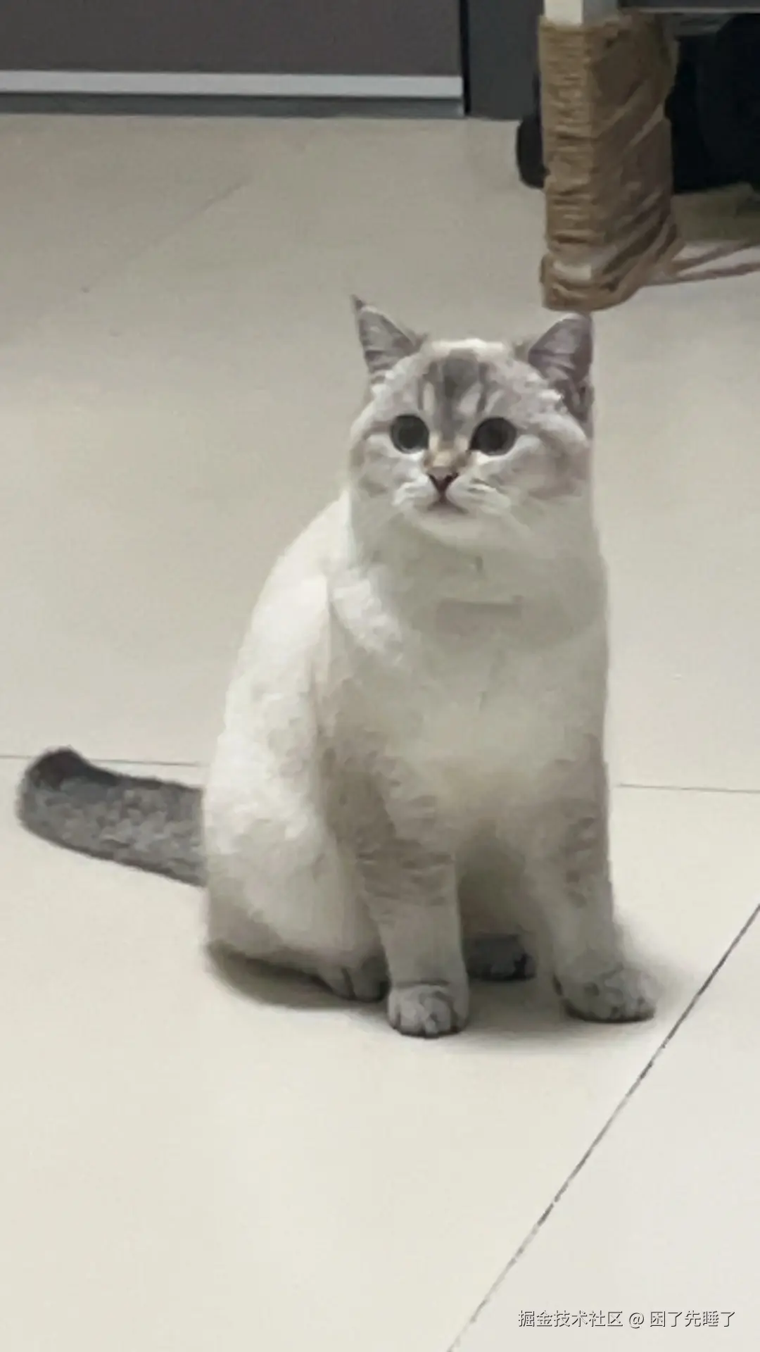 困了先睡了于2025-04-24 15:44发布的图片