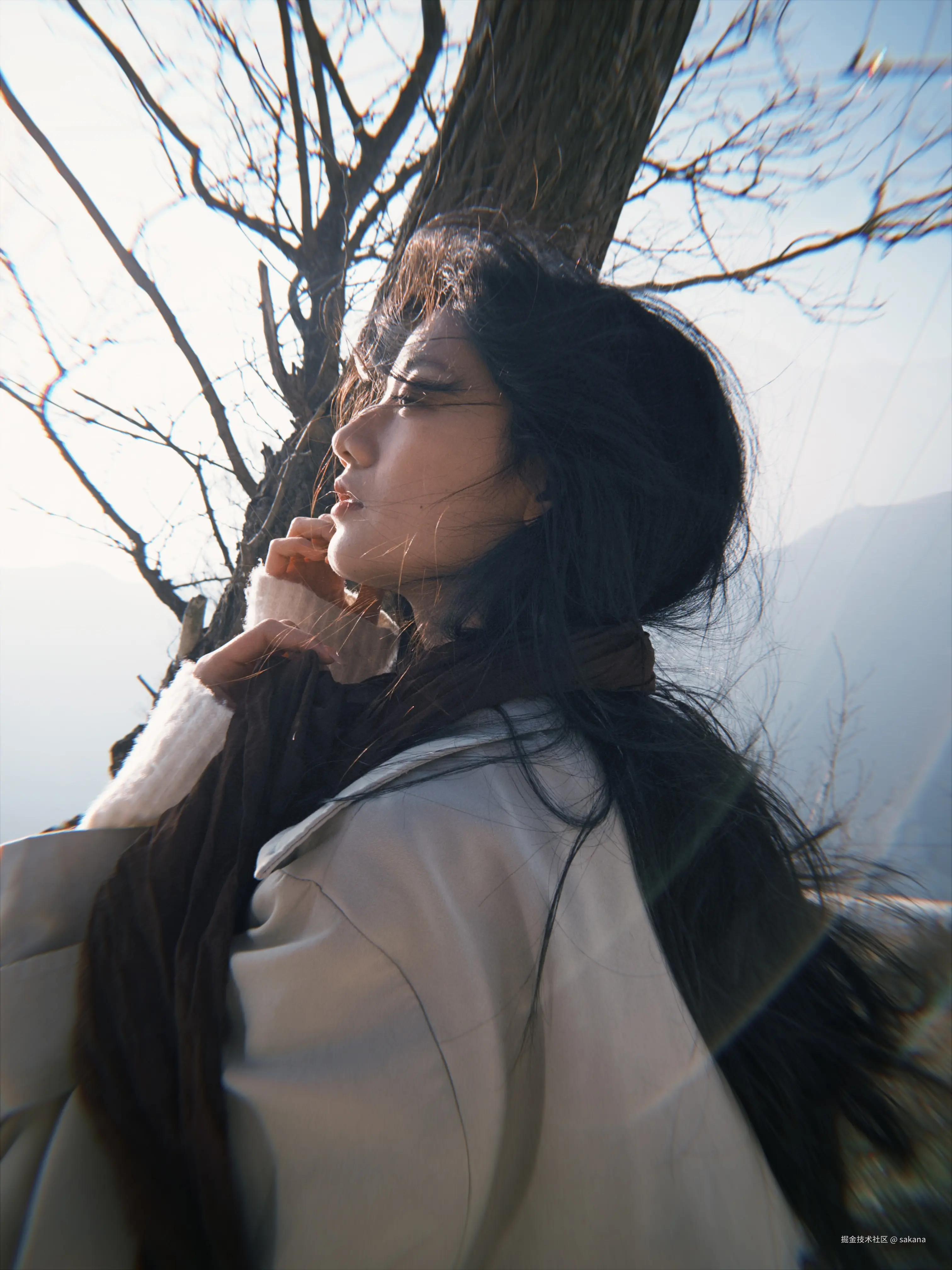 sakana于2025-12-29 14:17发布的图片