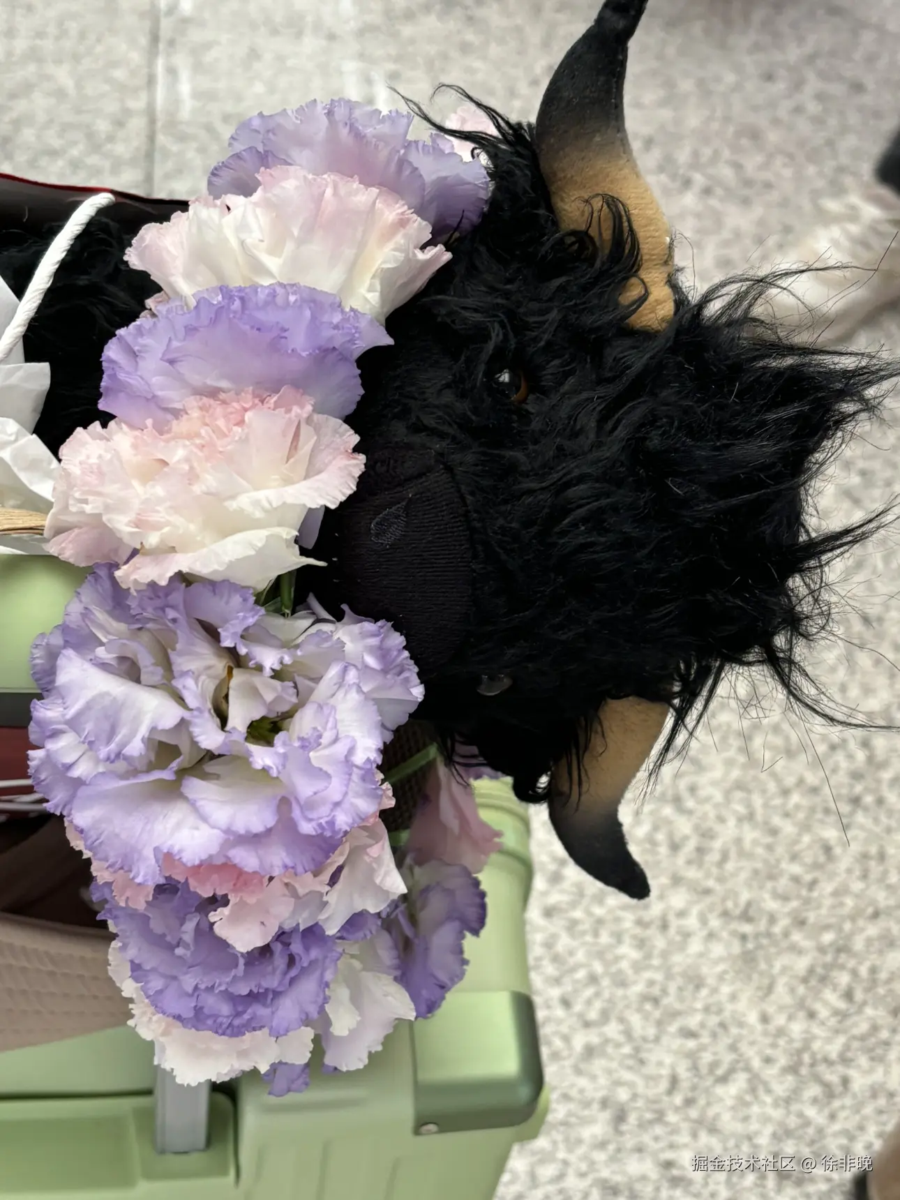 徐非晚于2024-08-26 22:49发布的图片