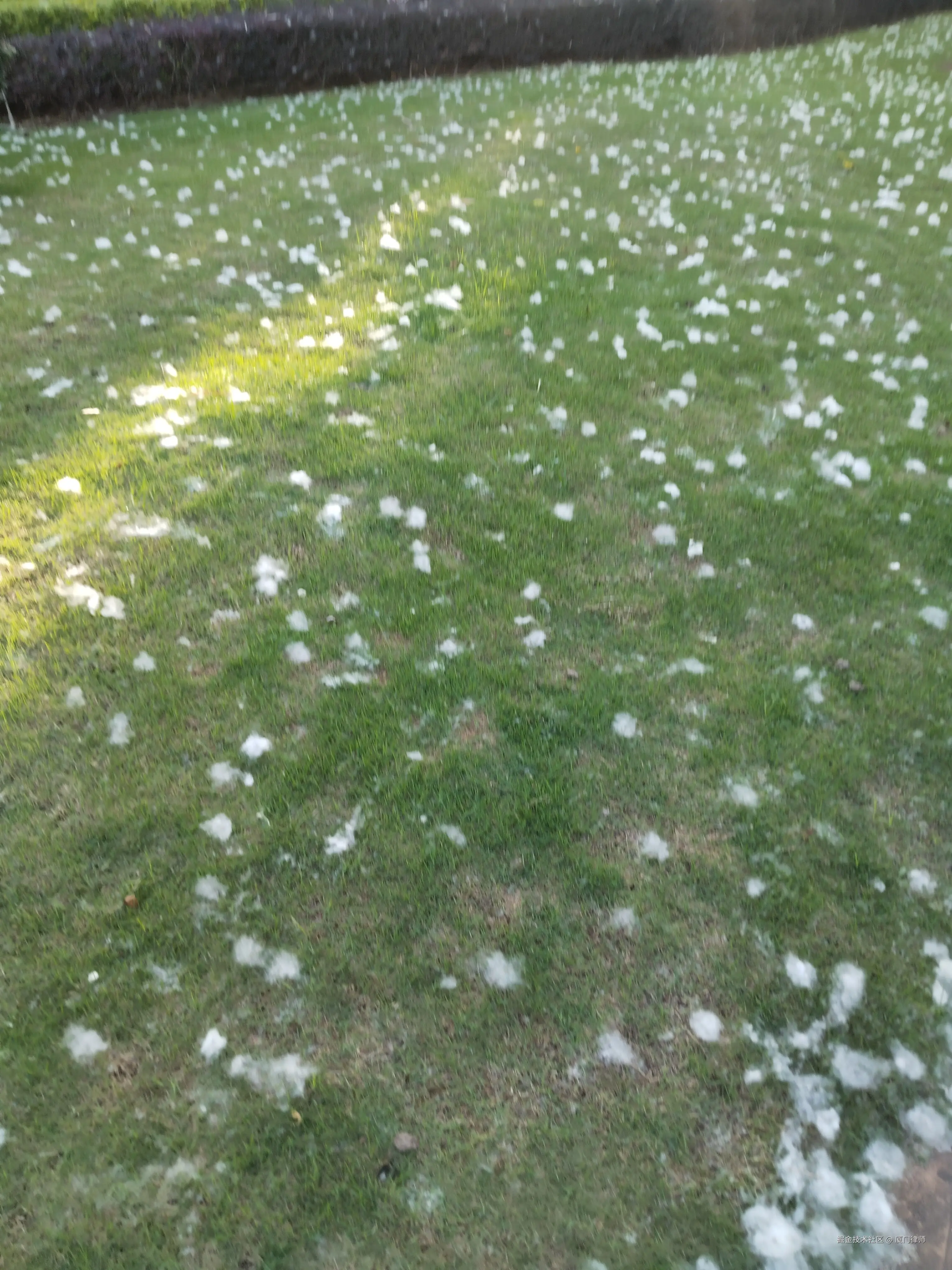 厦门律师于2025-06-23 19:29发布的图片