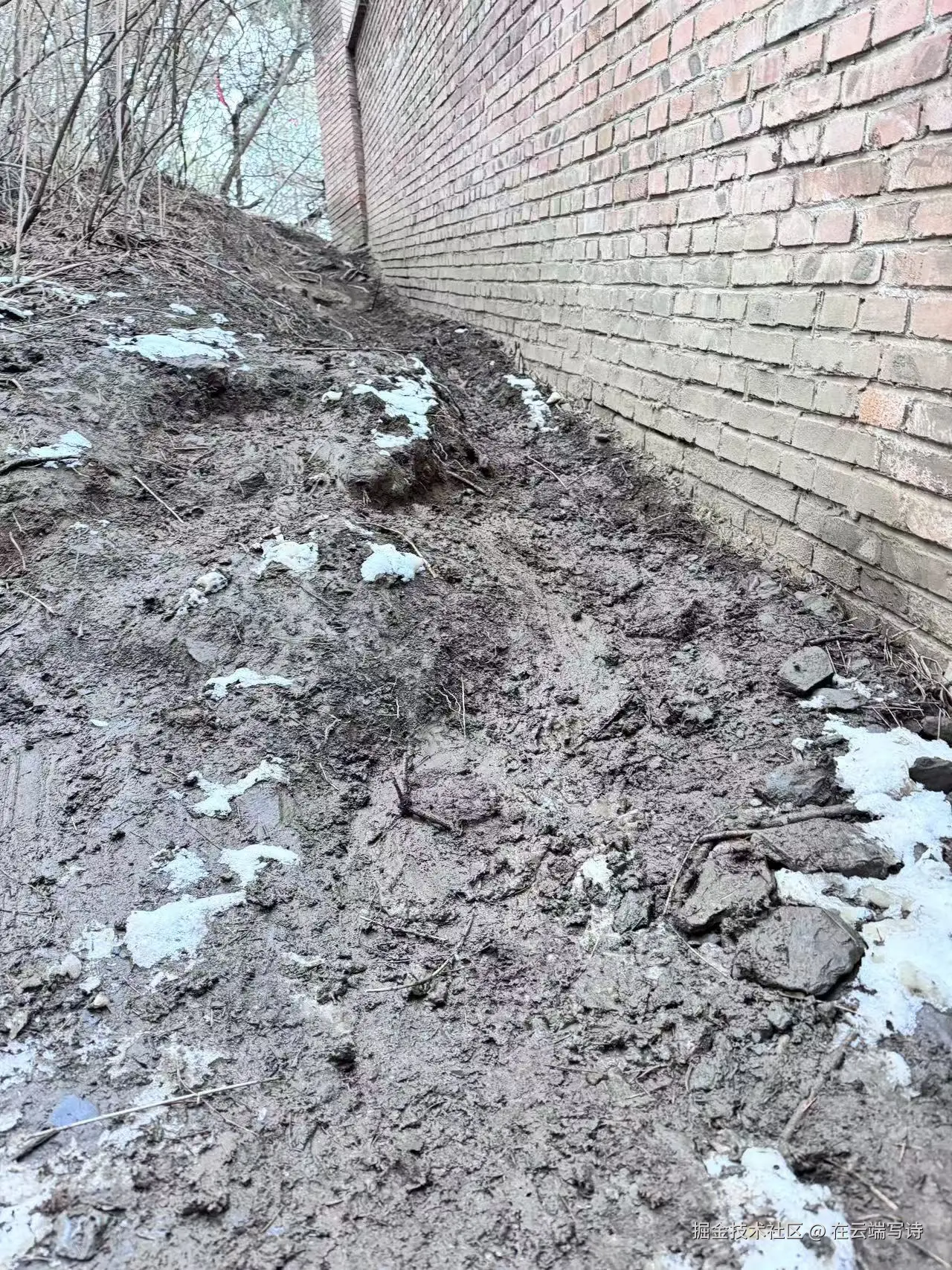 在云端写诗于2026-03-09 10:38发布的图片