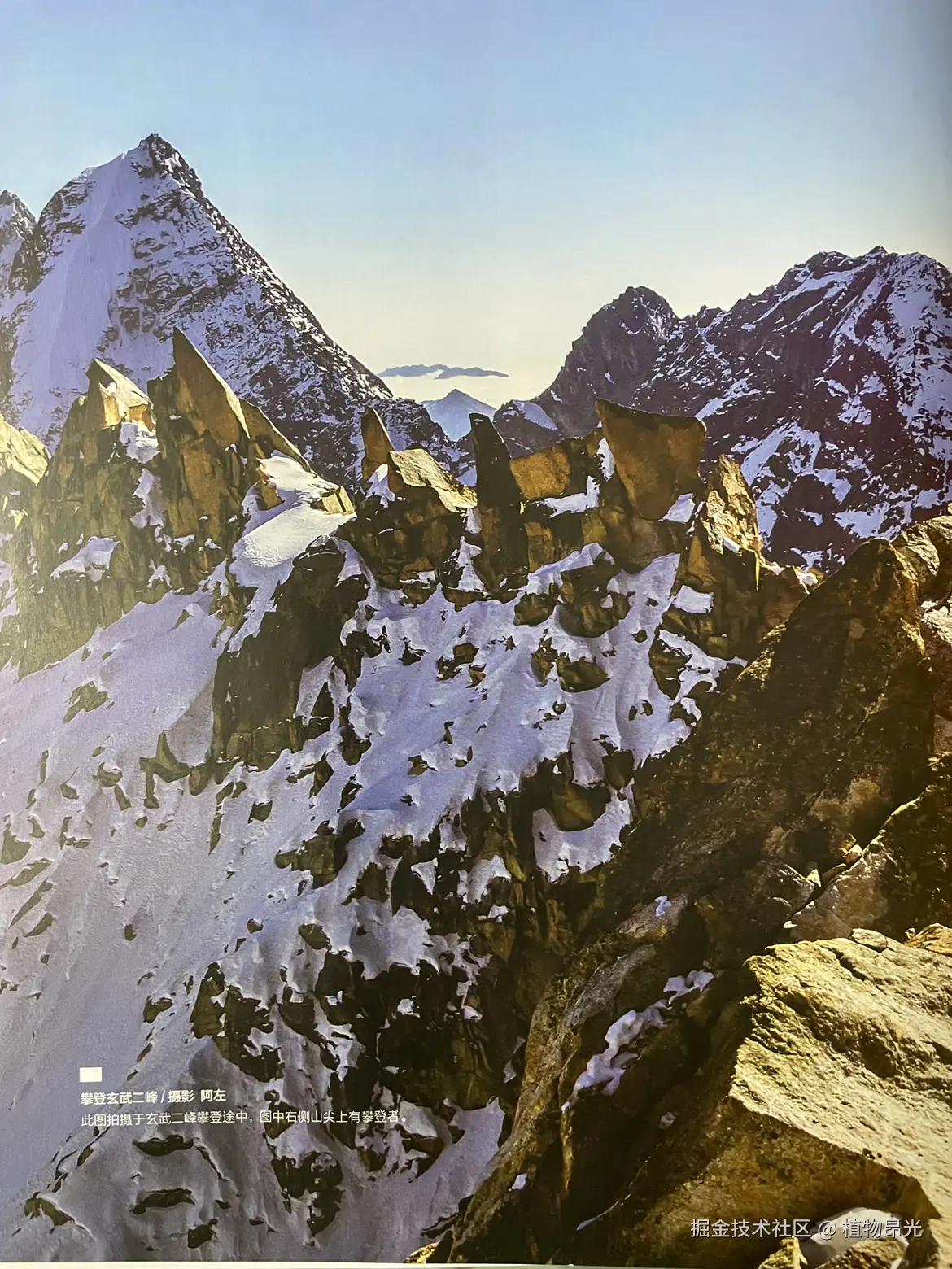 植物昂光于2026-03-16 20:38发布的图片