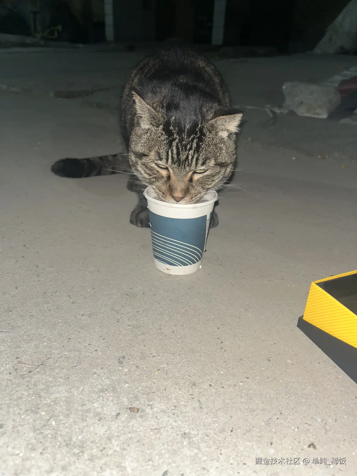 单纯_稀饭于2025-10-31 18:19发布的图片