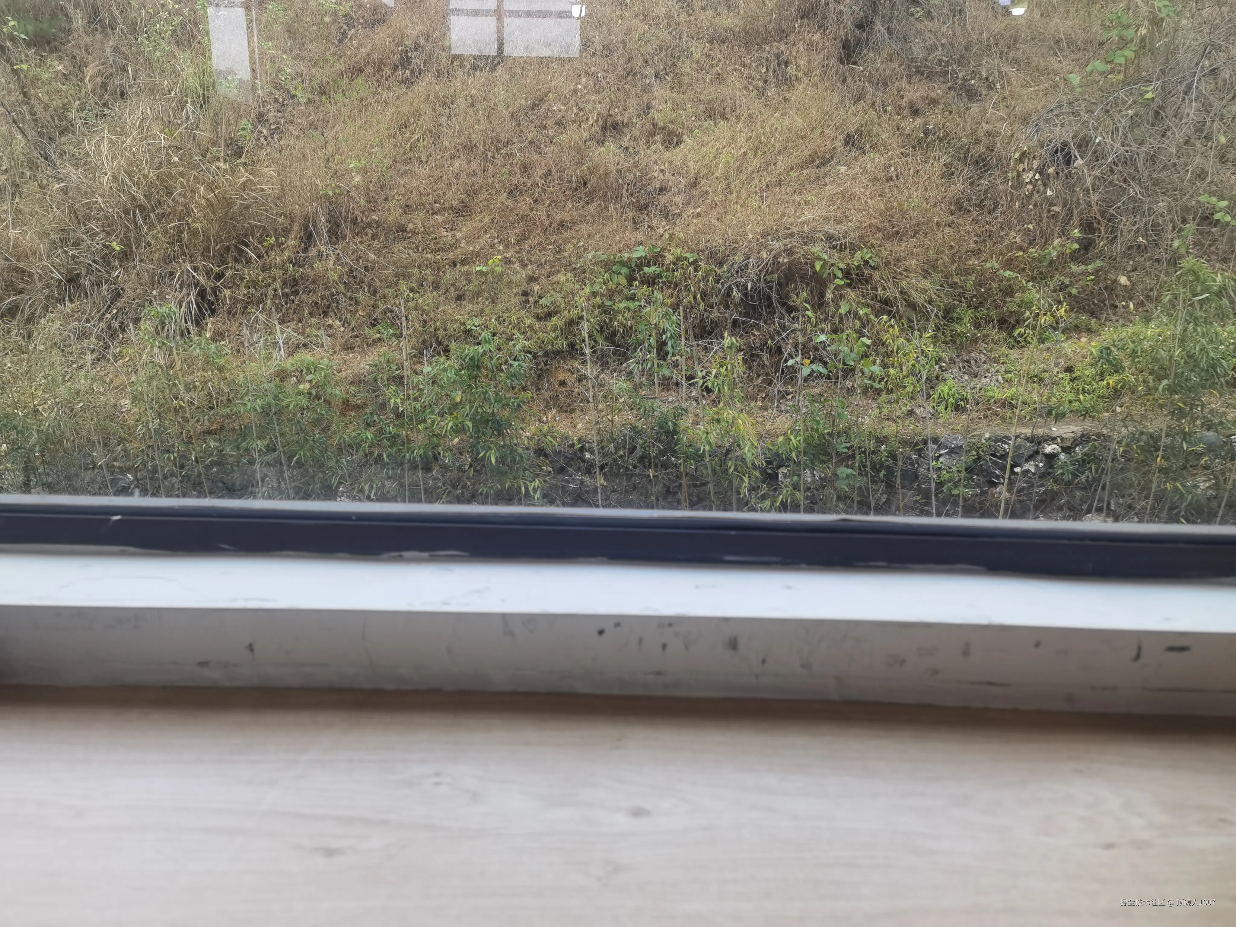 顶碗人1007于2026-03-02 12:02发布的图片