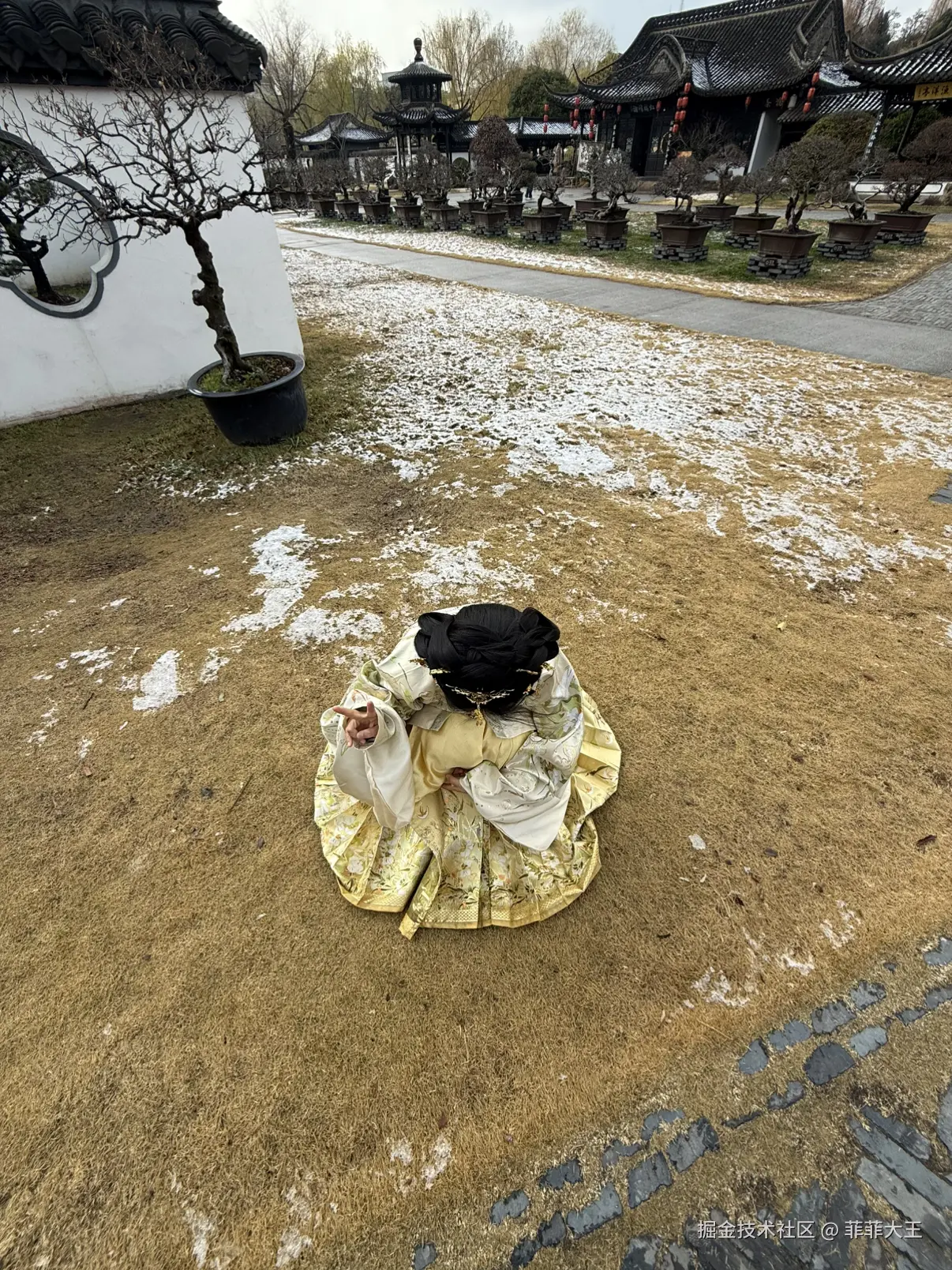 菲菲大王于2026-01-04 10:52发布的图片