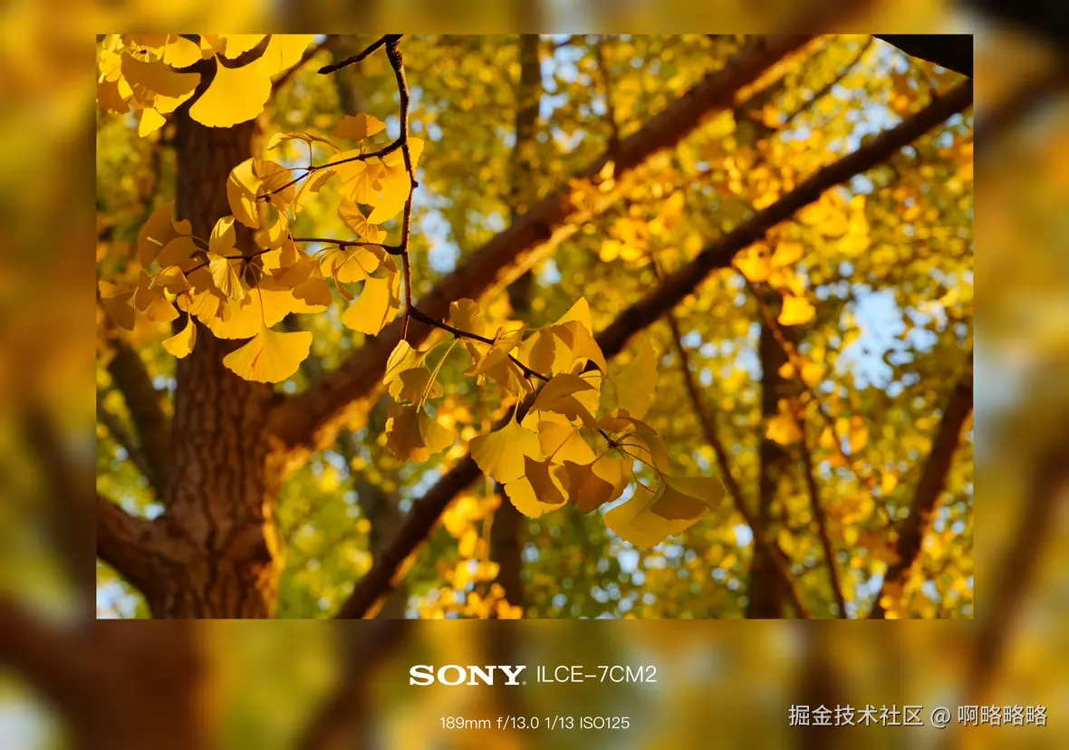 啊略略略于2024-10-28 10:27发布的图片