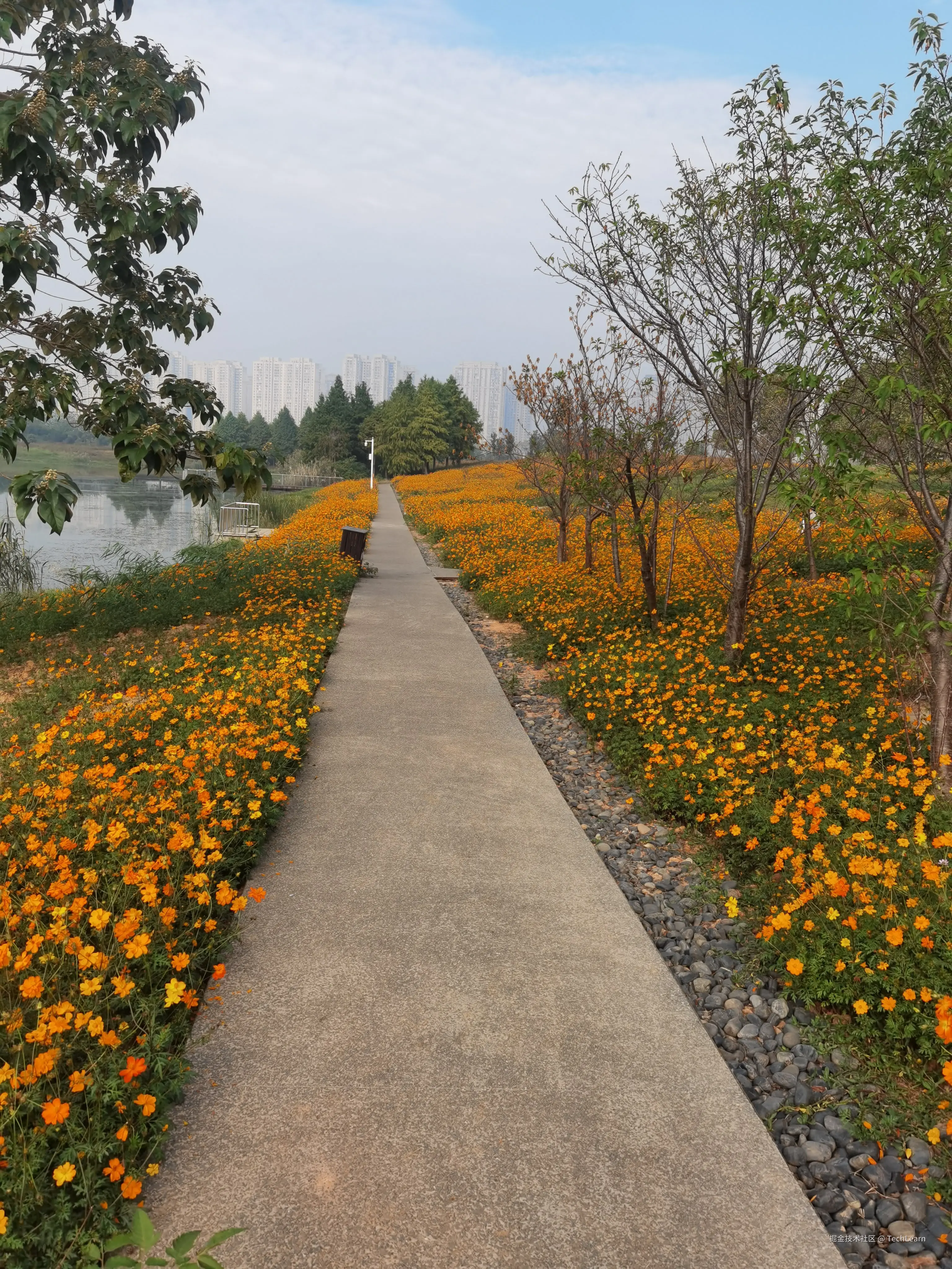 TechLearn于2024-11-09 09:36发布的图片