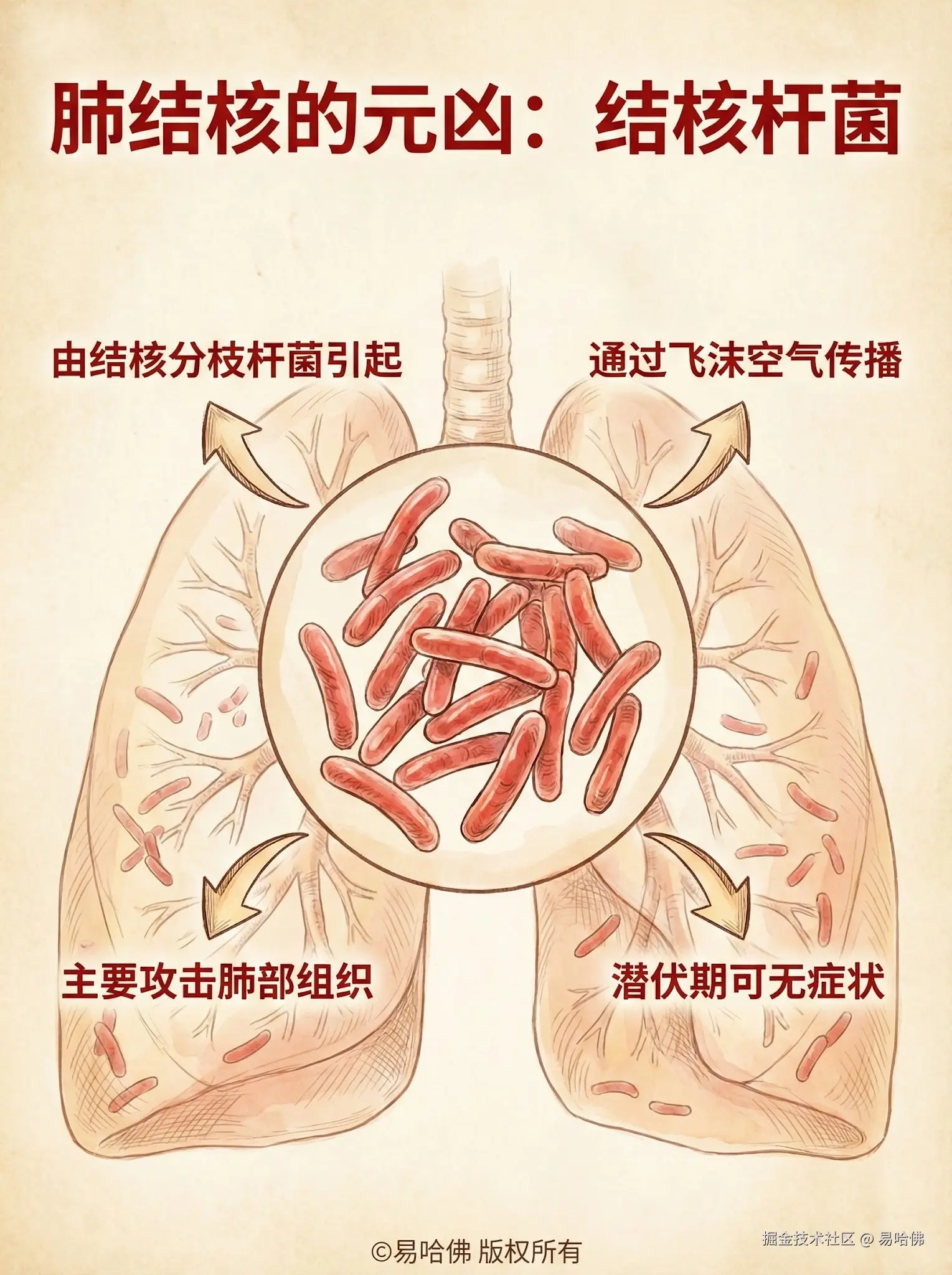易哈佛于2026-01-04 08:22发布的图片