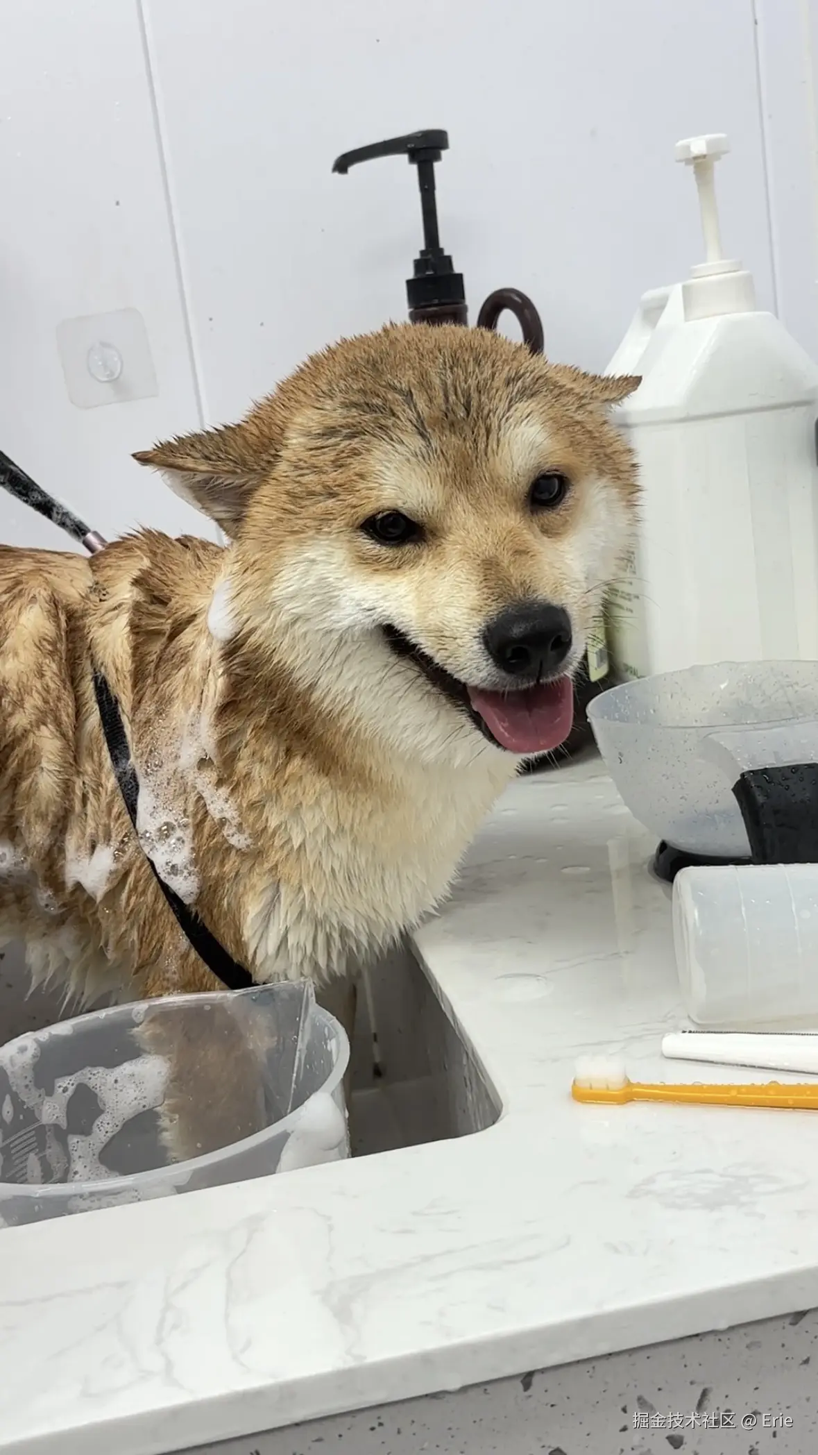 Erie于2025-11-03 09:13发布的图片