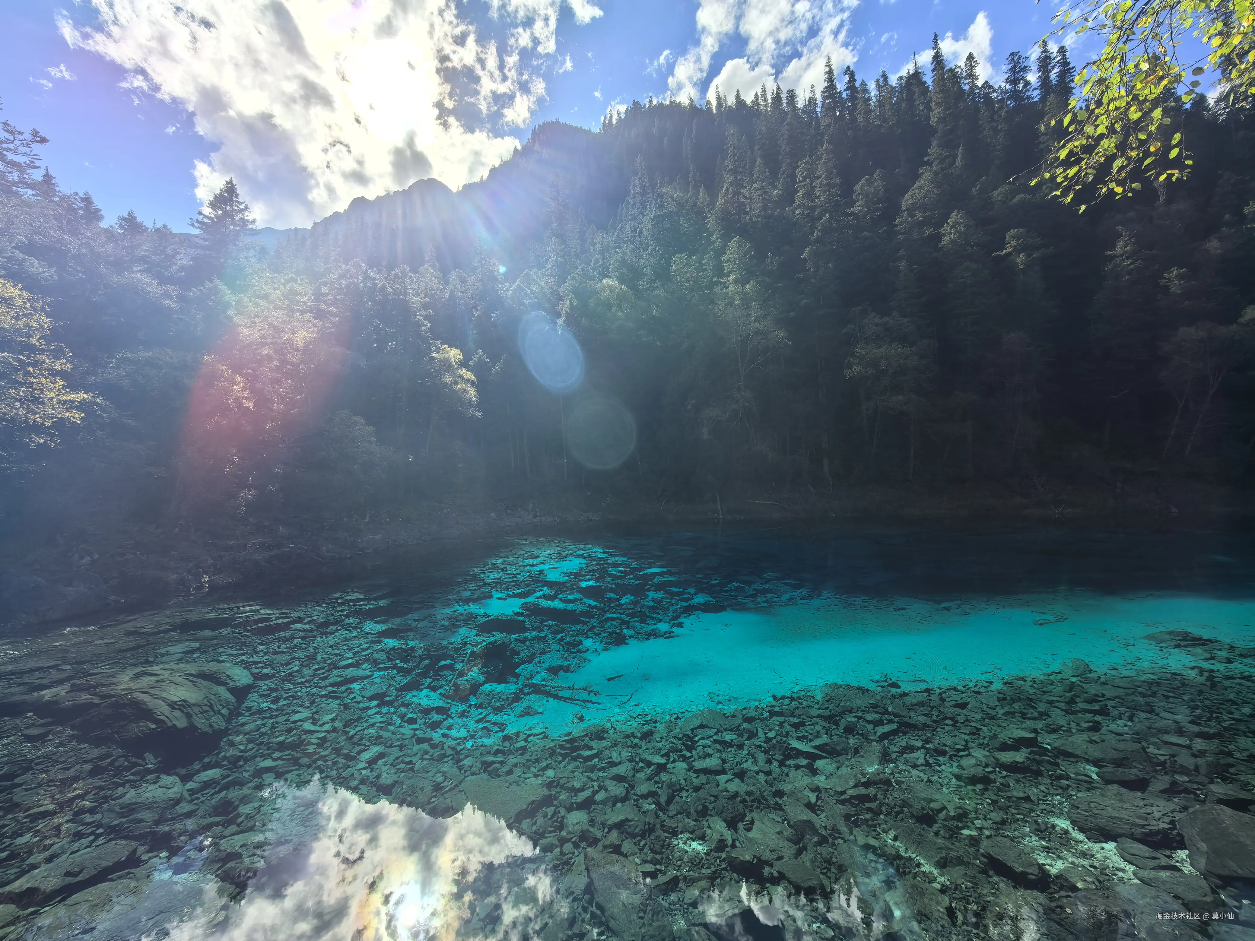 莫小仙于2025-10-09 02:54发布的图片