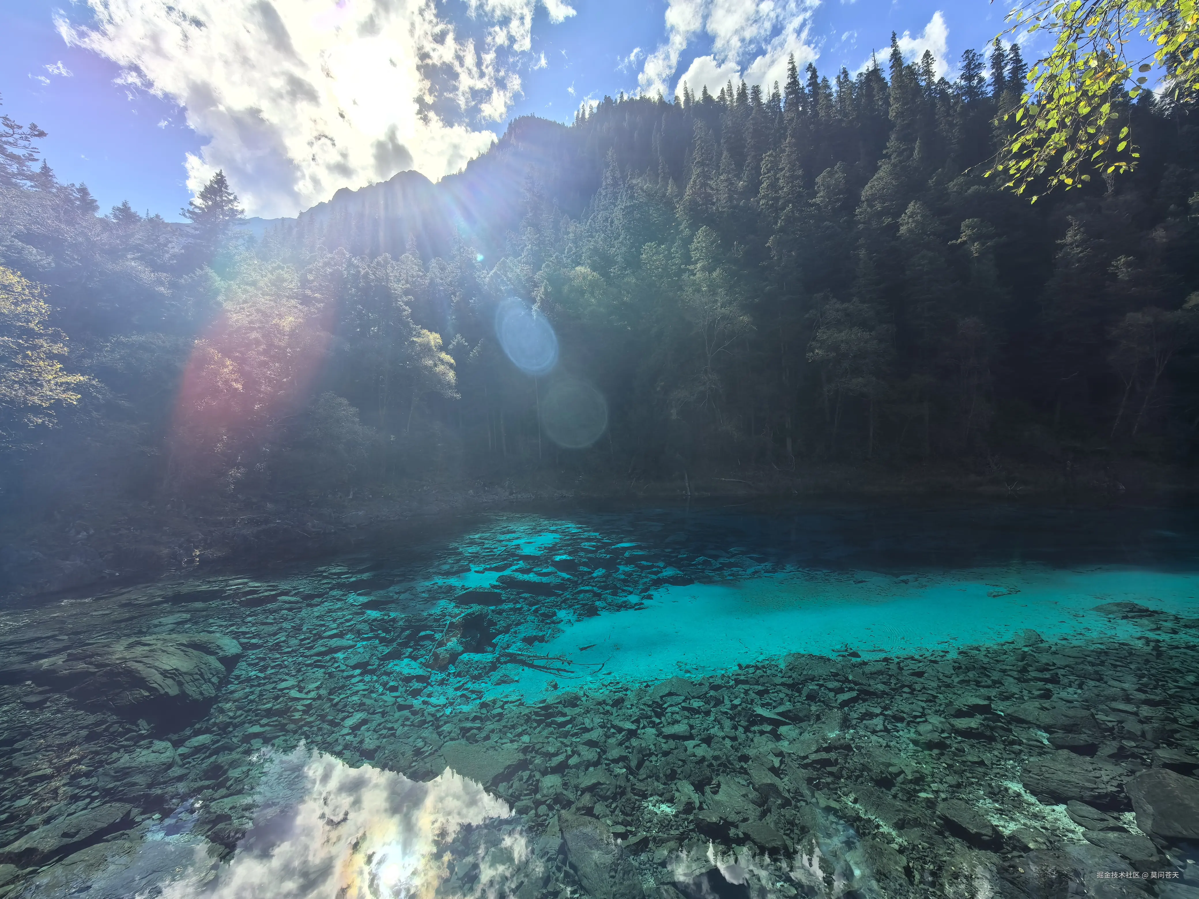 莫问苍天于2025-10-09 10:54发布的图片