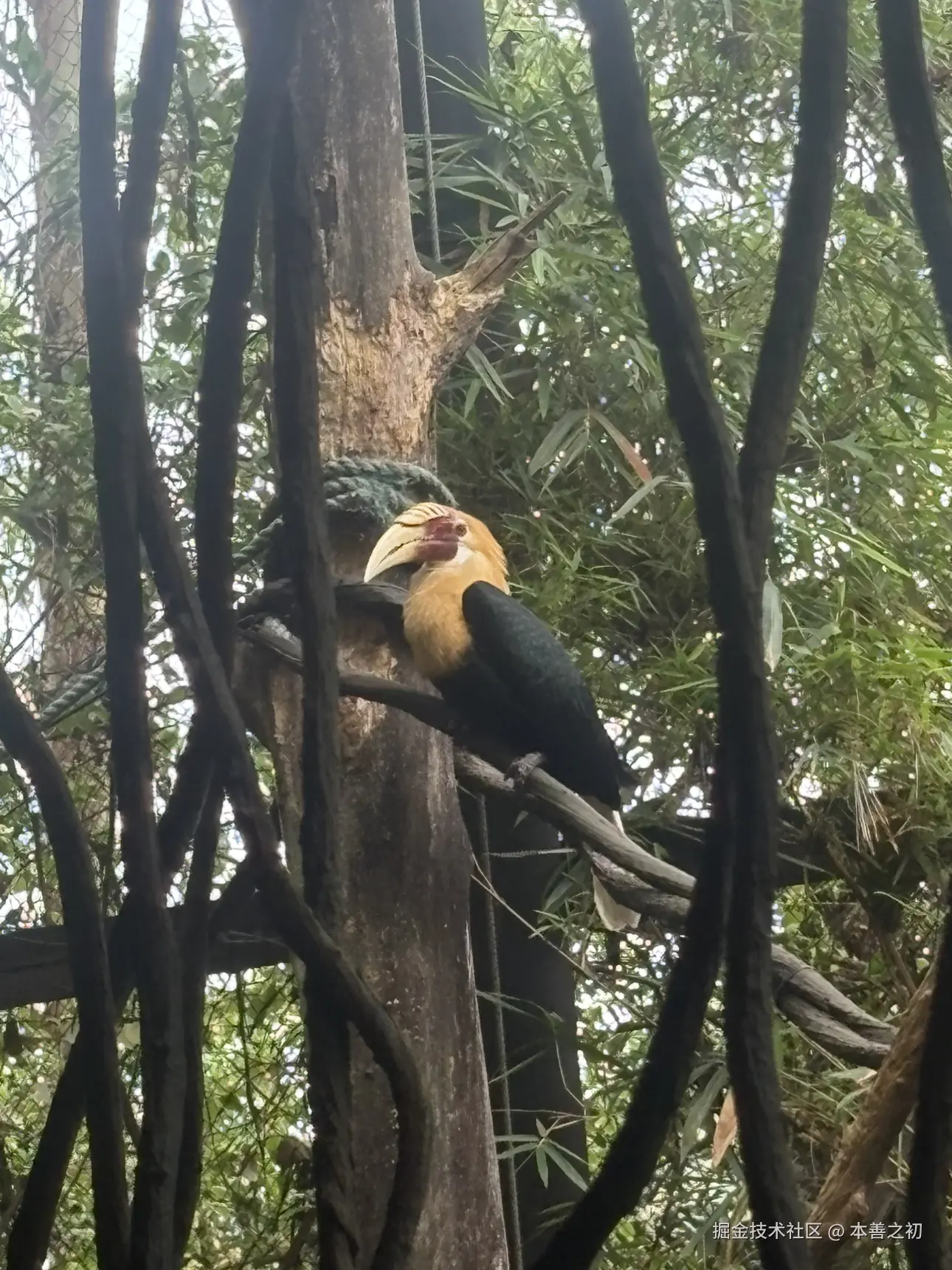 本善之初于2025-05-06 15:14发布的图片