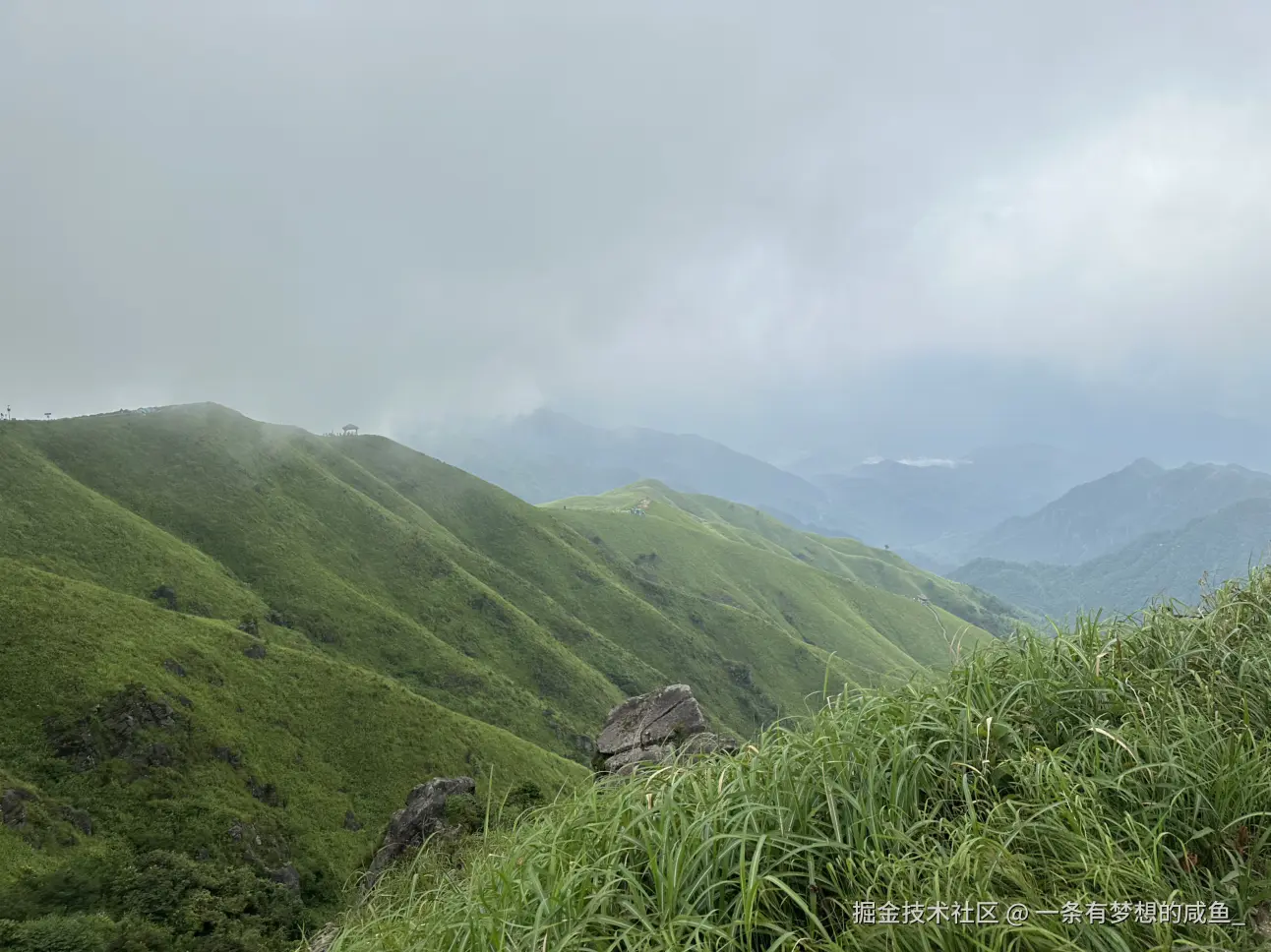 一条有梦想的咸鱼_于2025-07-28 14:12发布的图片